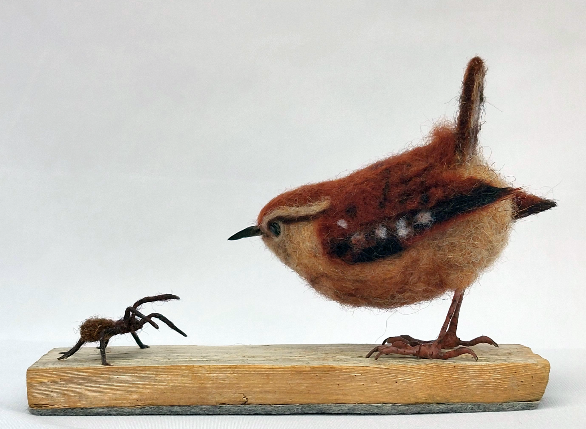 Maybe not : Unique handmade needle-felted wildlife sculpture.  Wren and spider