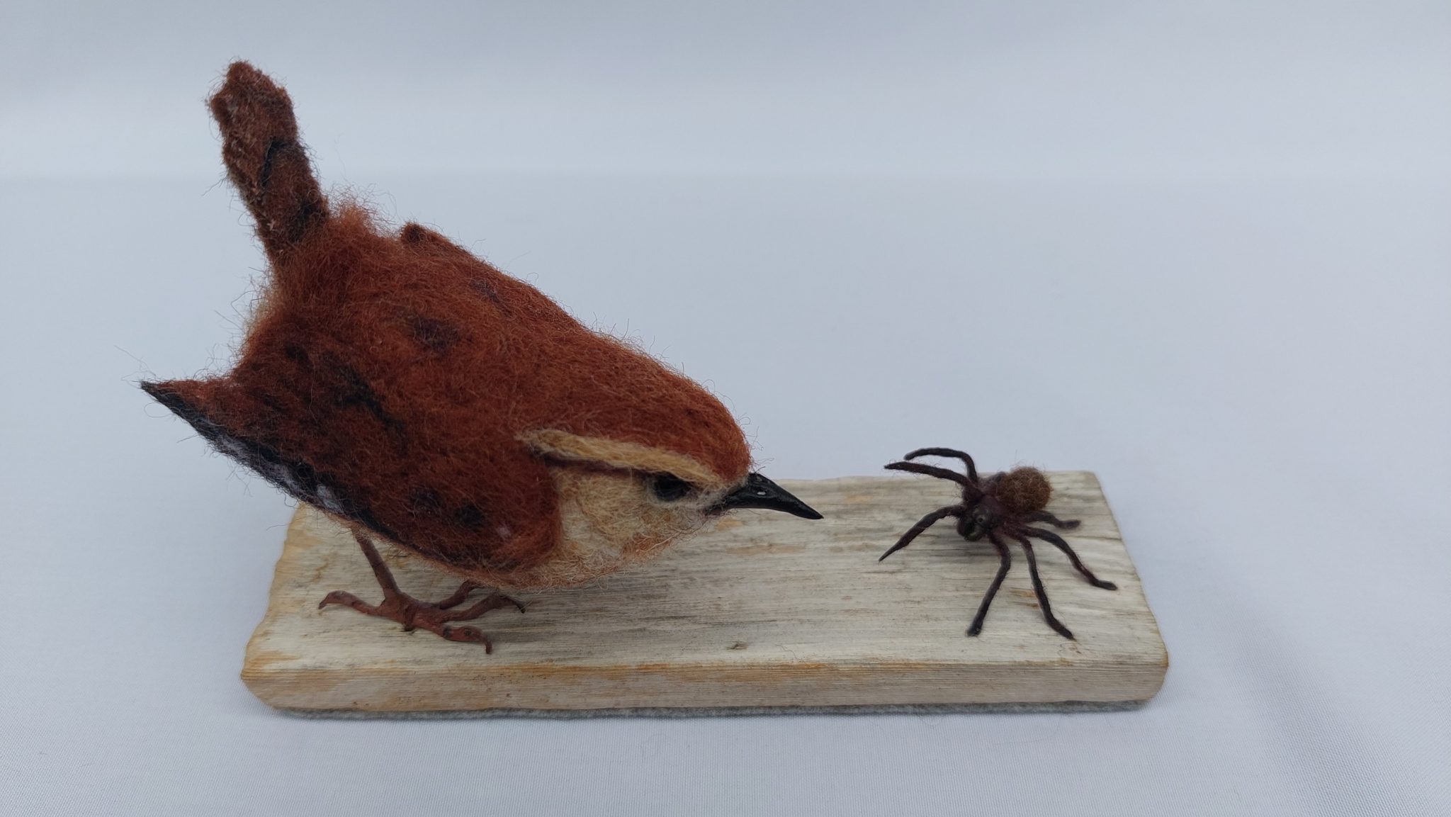 Maybe not : Unique handmade needle-felted wildlife sculpture.  Wren and spider