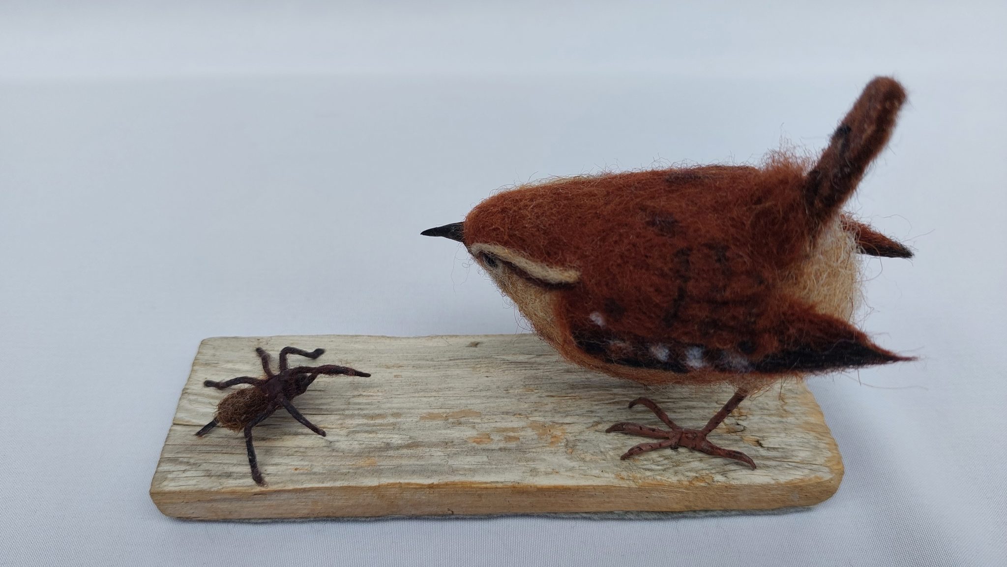 Maybe not : Unique handmade needle-felted wildlife sculpture.  Wren and spider