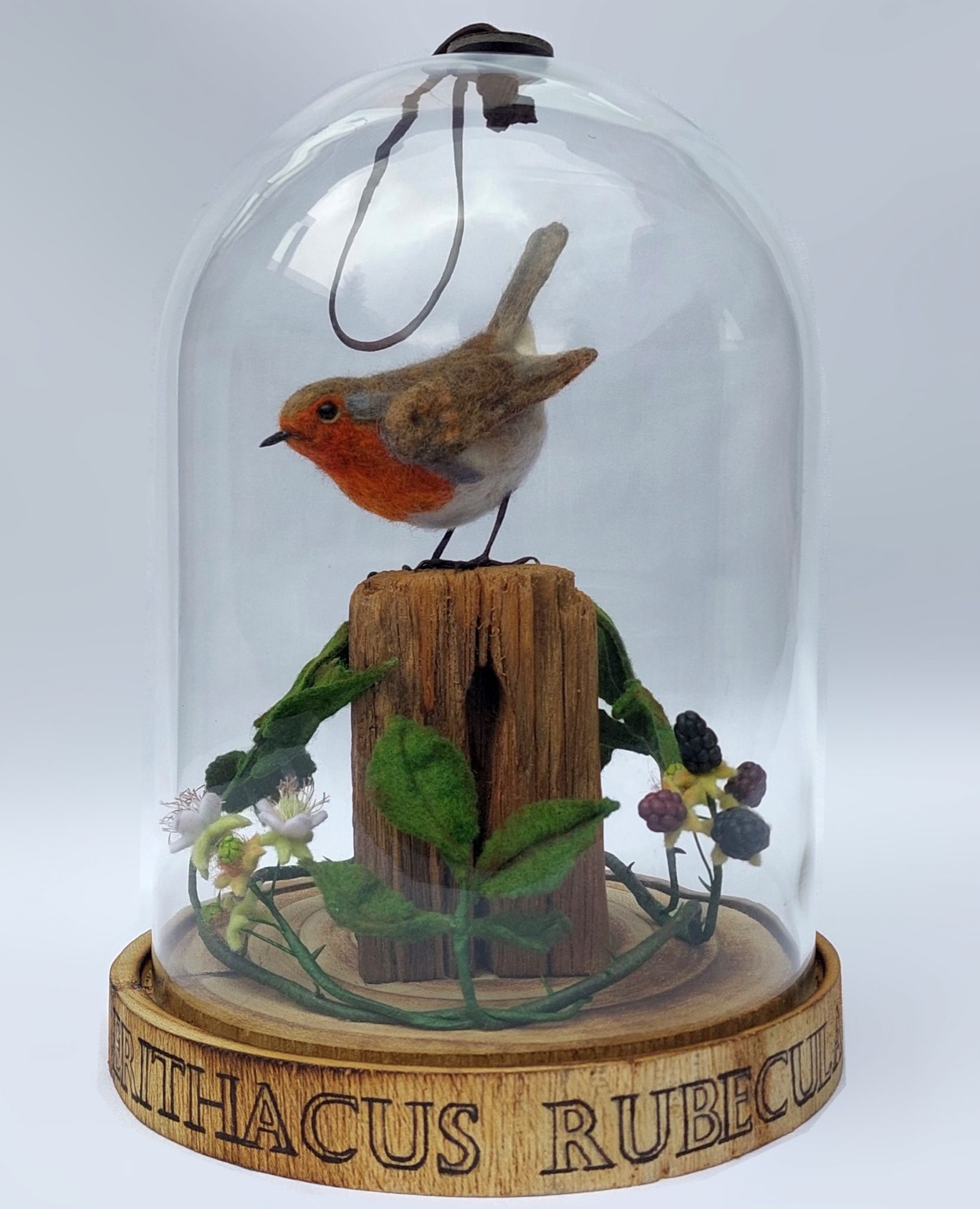 The lookout post: Robin on driftwood with felted and clay brambles (in Cloche). Unique handmade needle-felted wildlife sculpture. 