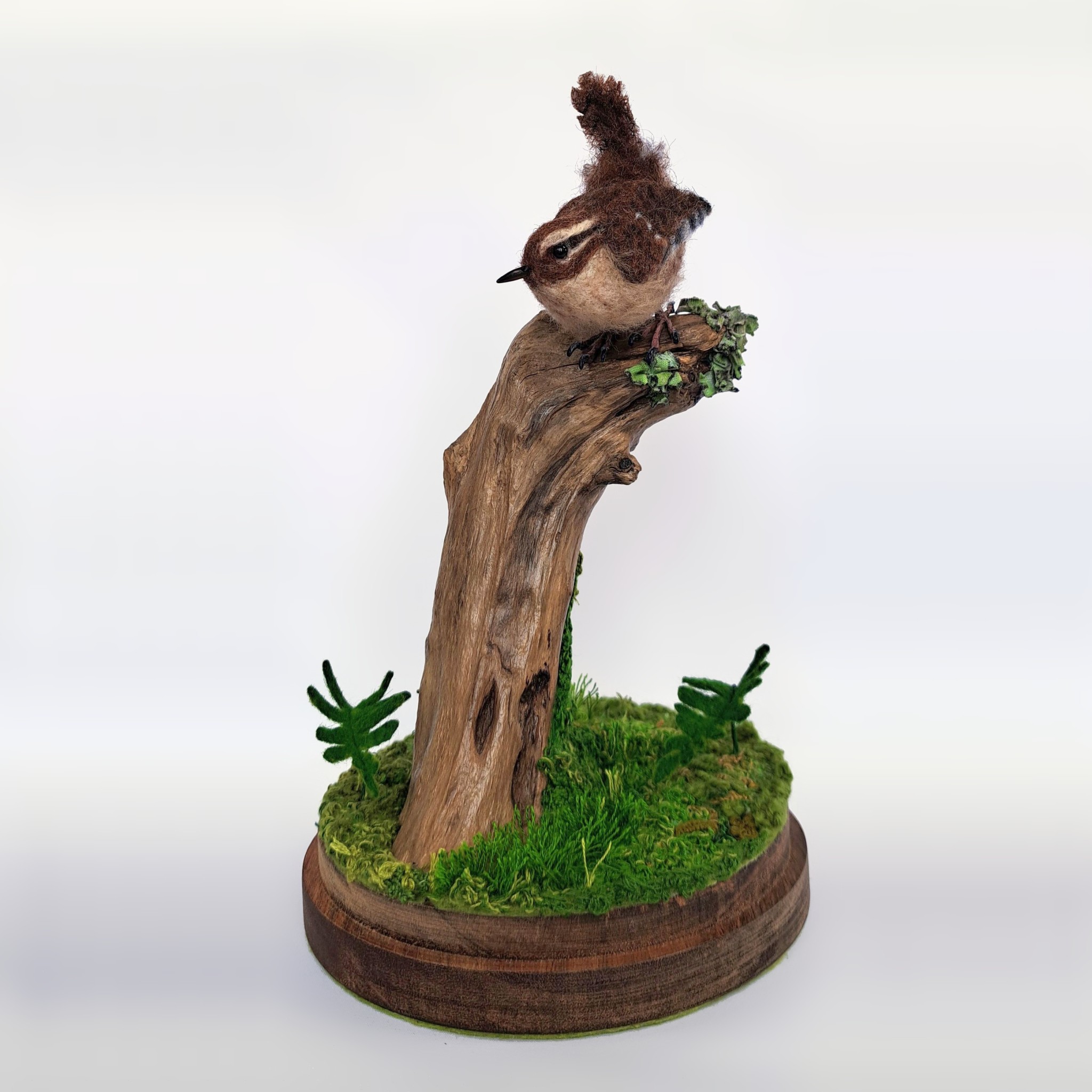 Wren in Cloche on driftwood with embroidered moss. : Unique handmade needle-felted wildlife sculpture. 