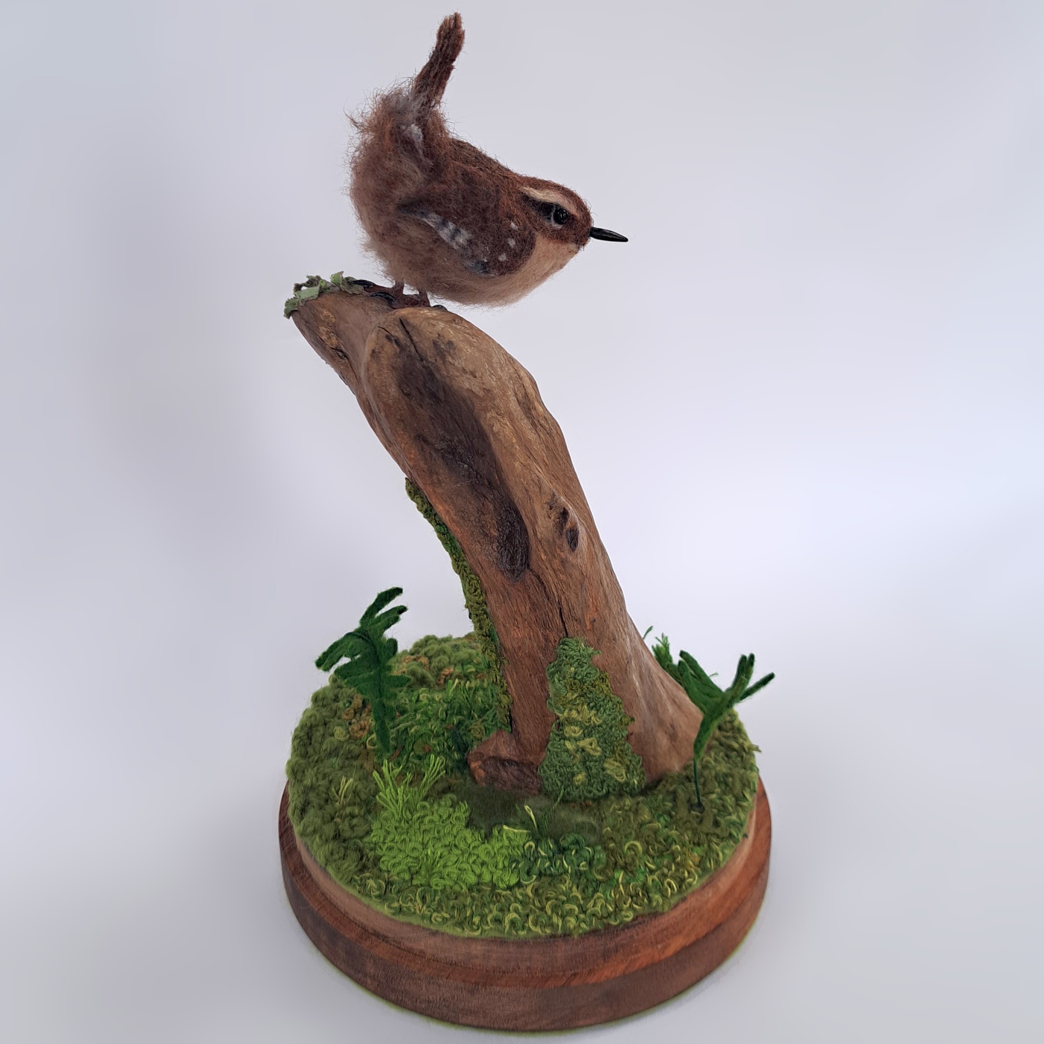 Wren in Cloche on driftwood with embroidered moss. : Unique handmade needle-felted wildlife sculpture. 