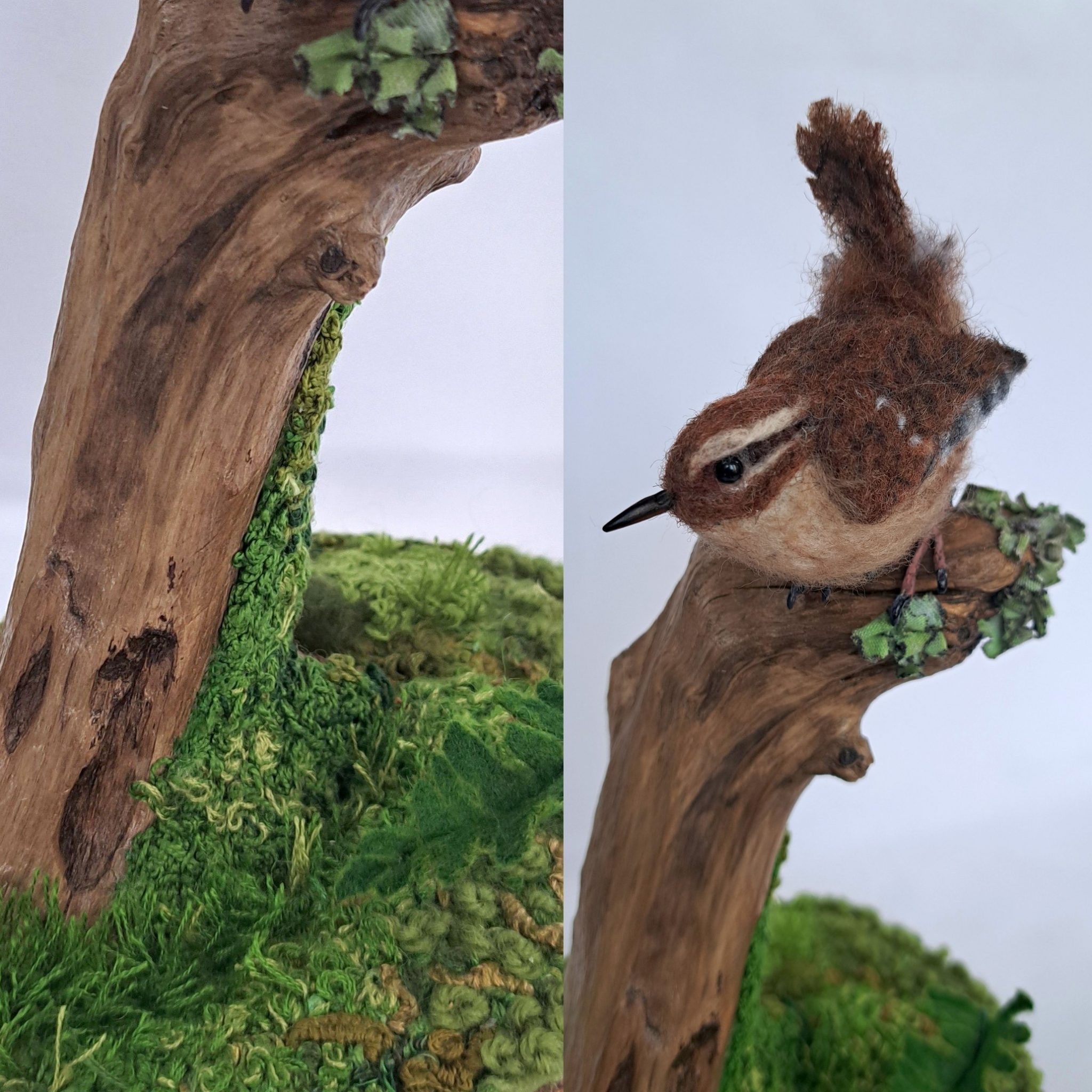 Wren in Cloche on driftwood with embroidered moss. : Unique handmade needle-felted wildlife sculpture. 