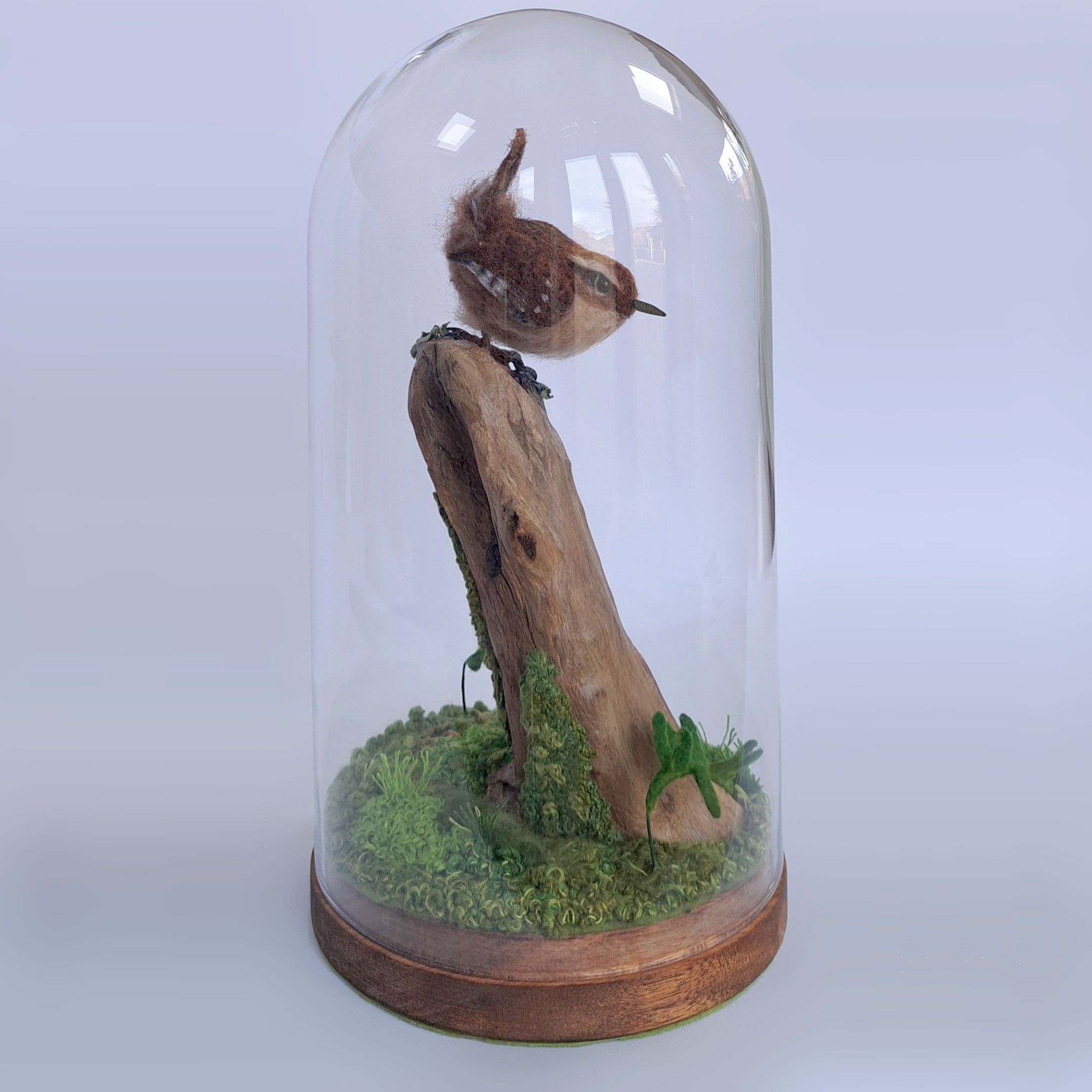 Wren in Cloche on driftwood with embroidered moss. : Unique handmade needle-felted wildlife sculpture. 