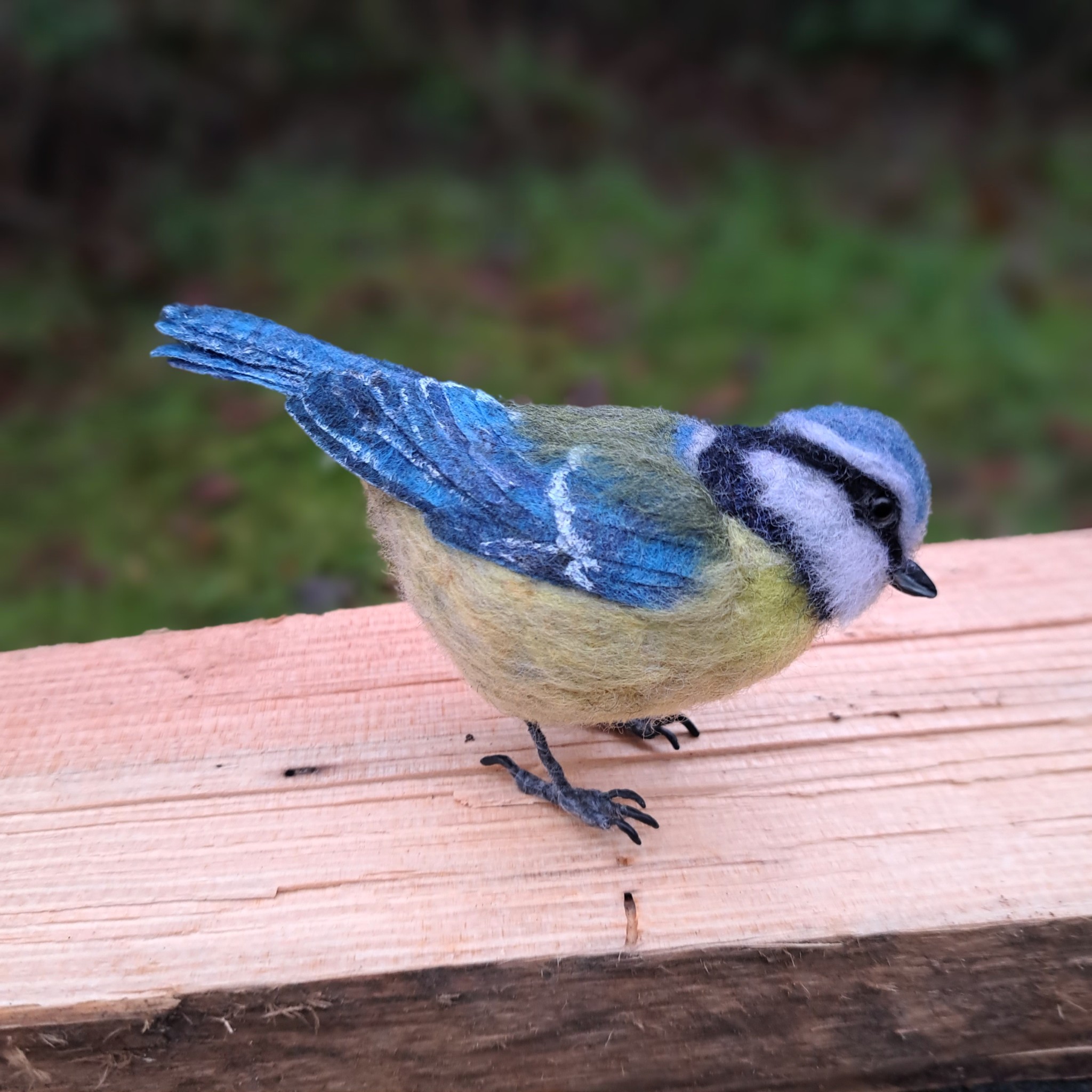 Blue tit : Unique handmade needle-felted wildlife sculpture. 