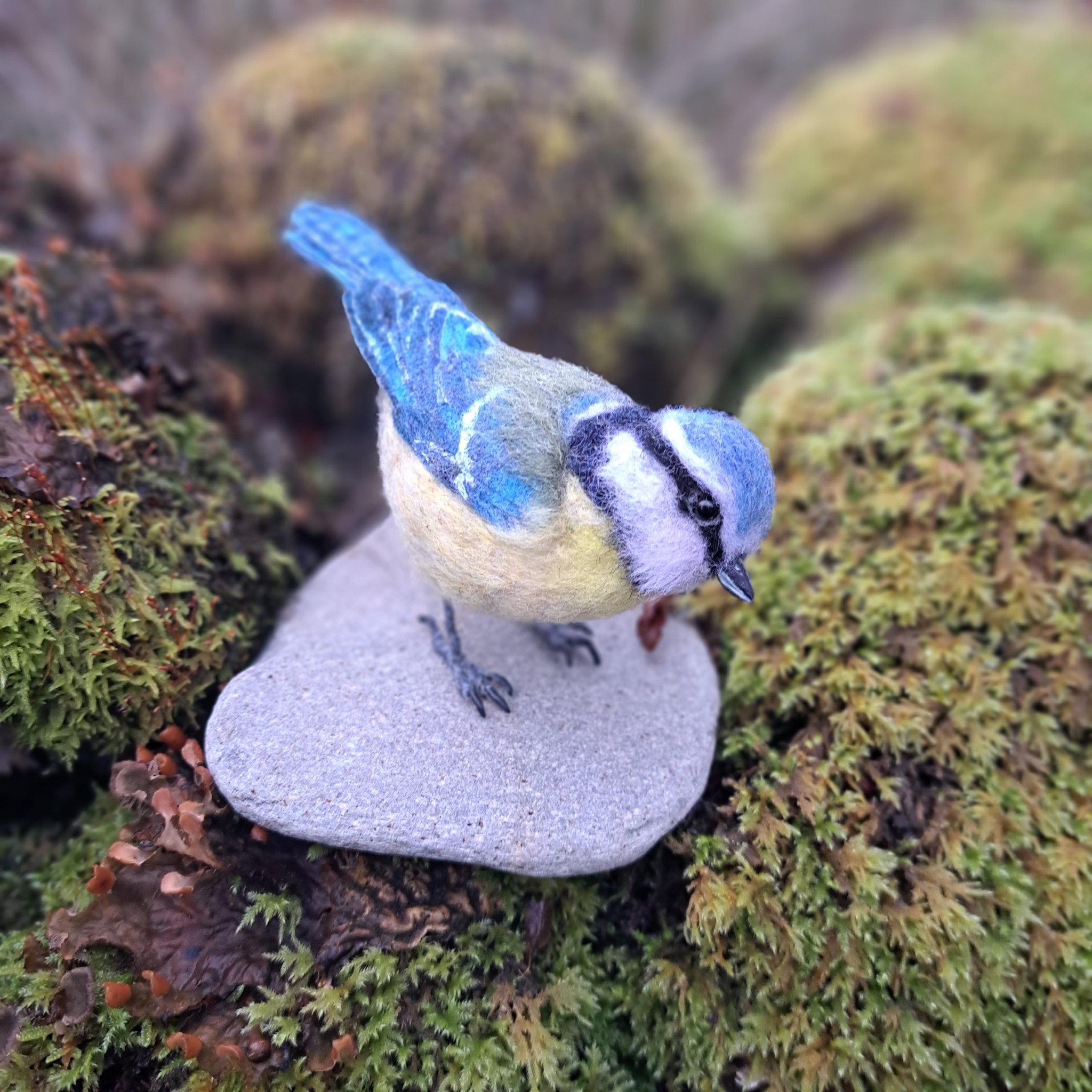 Blue tit : Unique handmade needle-felted wildlife sculpture. 
