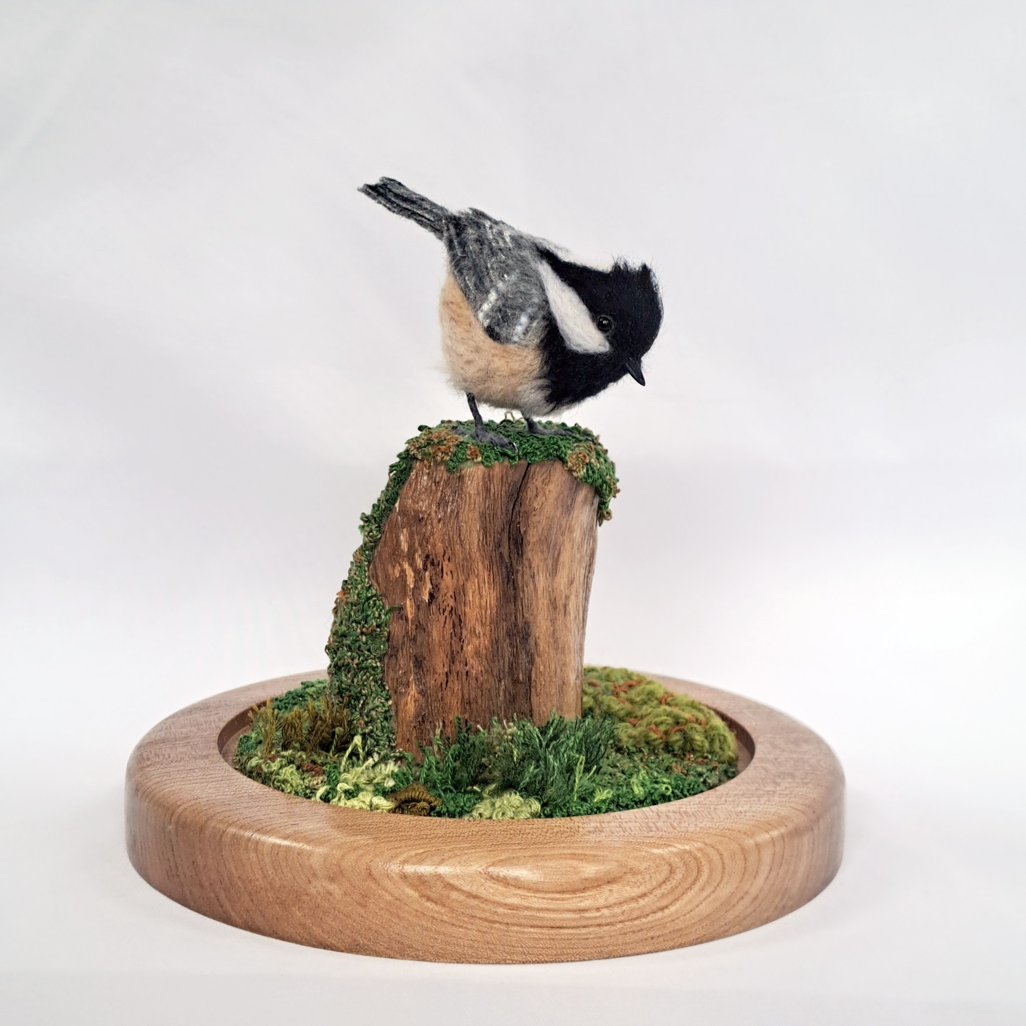 Needle-felted Coal Tit in Cloche on driftwood with embroidered moss. : Unique handmade needle-felted wildlife sculpture. 