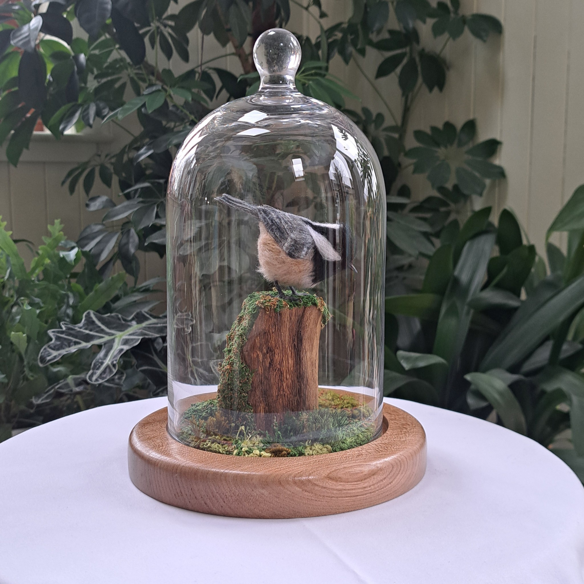 Needle-felted Coal Tit in Cloche on driftwood with embroidered moss. : Unique handmade needle-felted wildlife sculpture. 