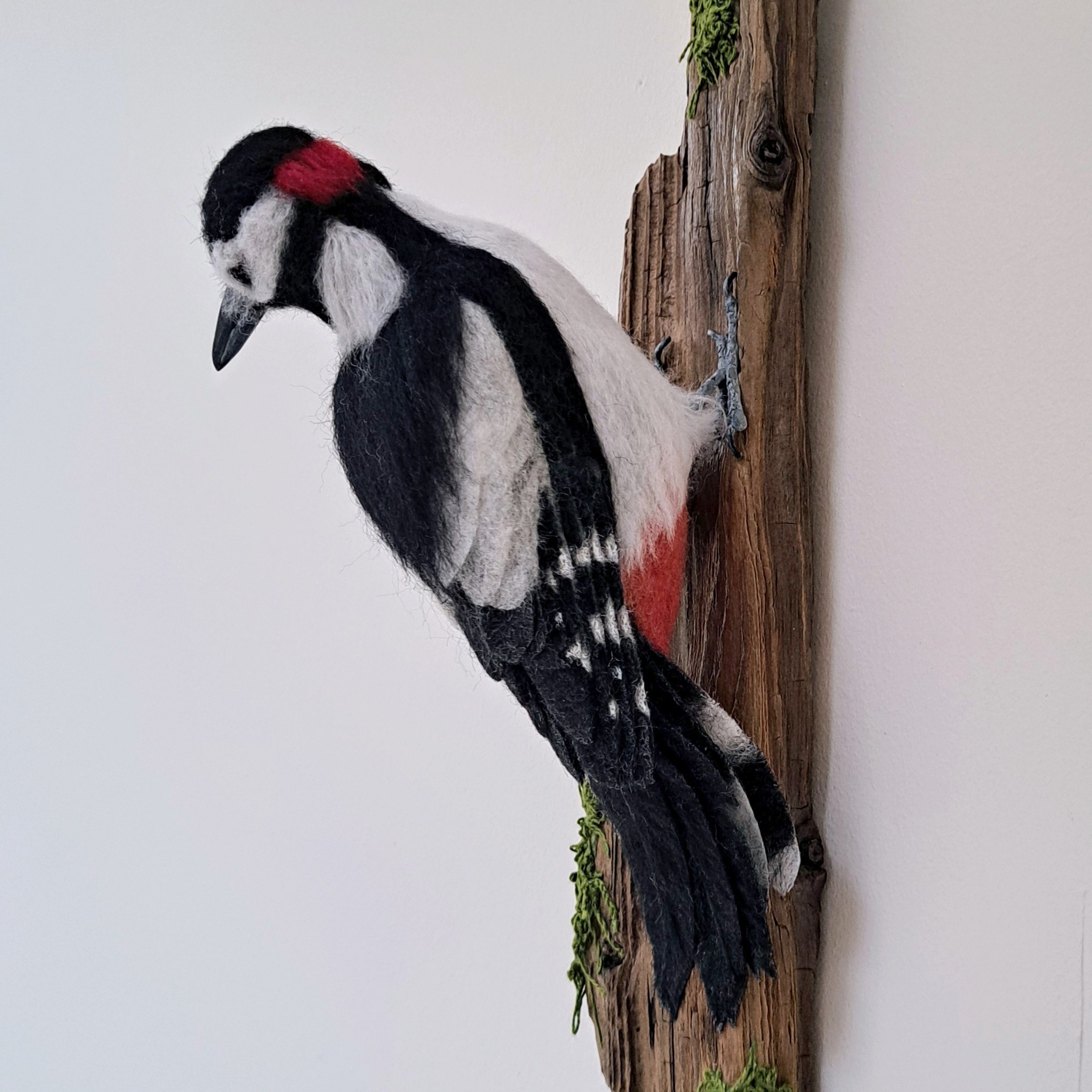 Woodpecker on driftwood : Unique handmade needle-felted wildlife sculpture.  With embroidered moss. Wall-mounted.