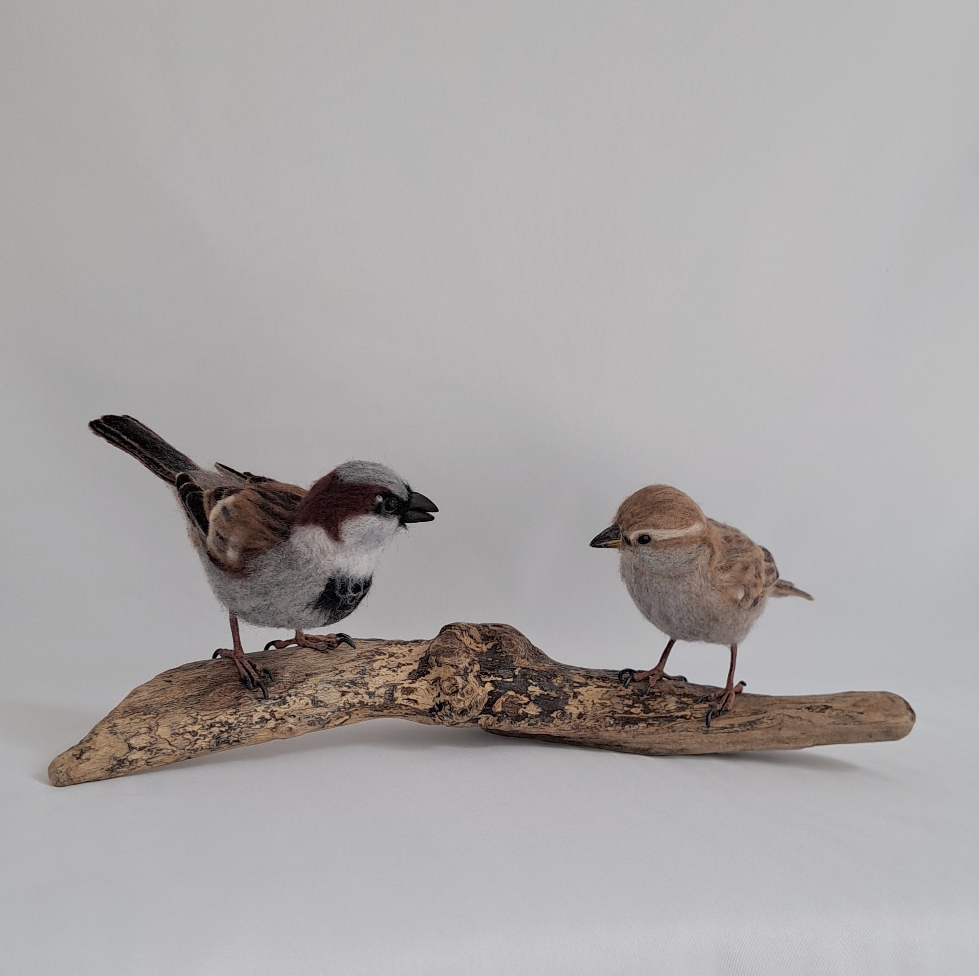 Blethrin' : Unique handmade needle-felted wildlife sculpture. A pair of sparrows.