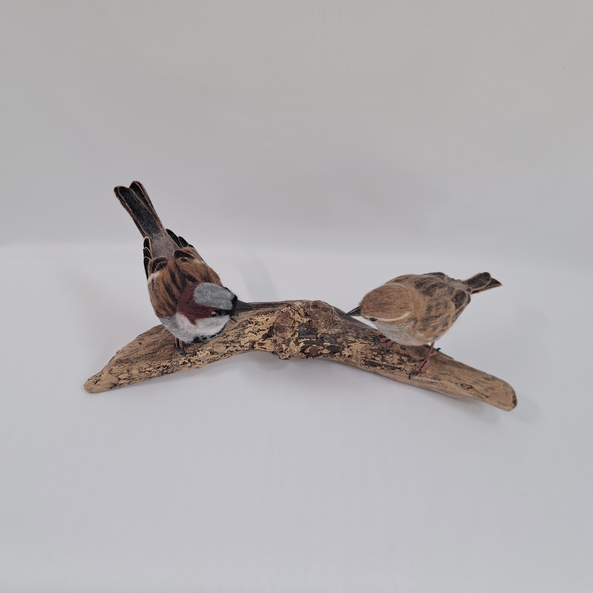 Blethrin' : Unique handmade needle-felted wildlife sculpture. A pair of sparrows.