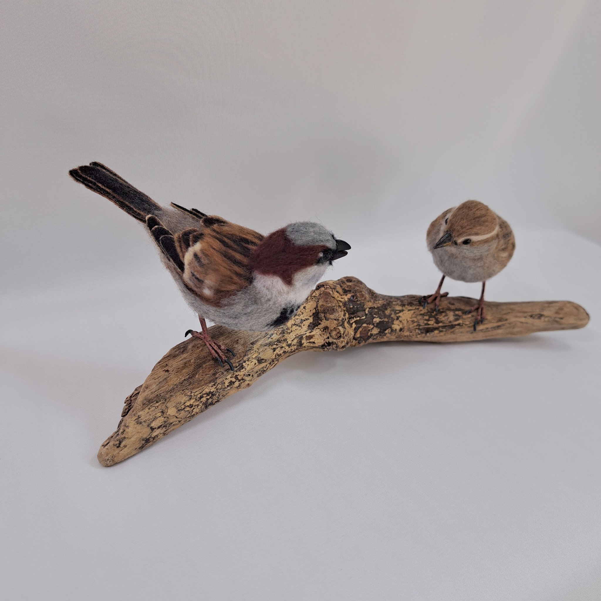 Blethrin' : Unique handmade needle-felted wildlife sculpture. A pair of sparrows.