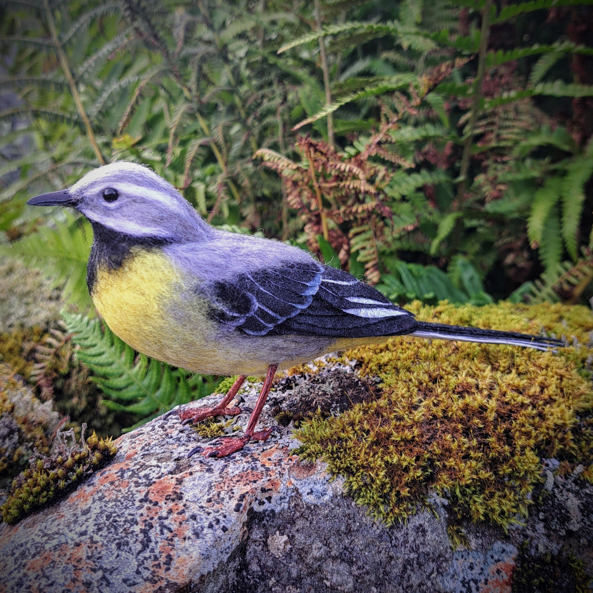 Grey wagtail : Unique handmade needle-felted wildlife sculpture. 