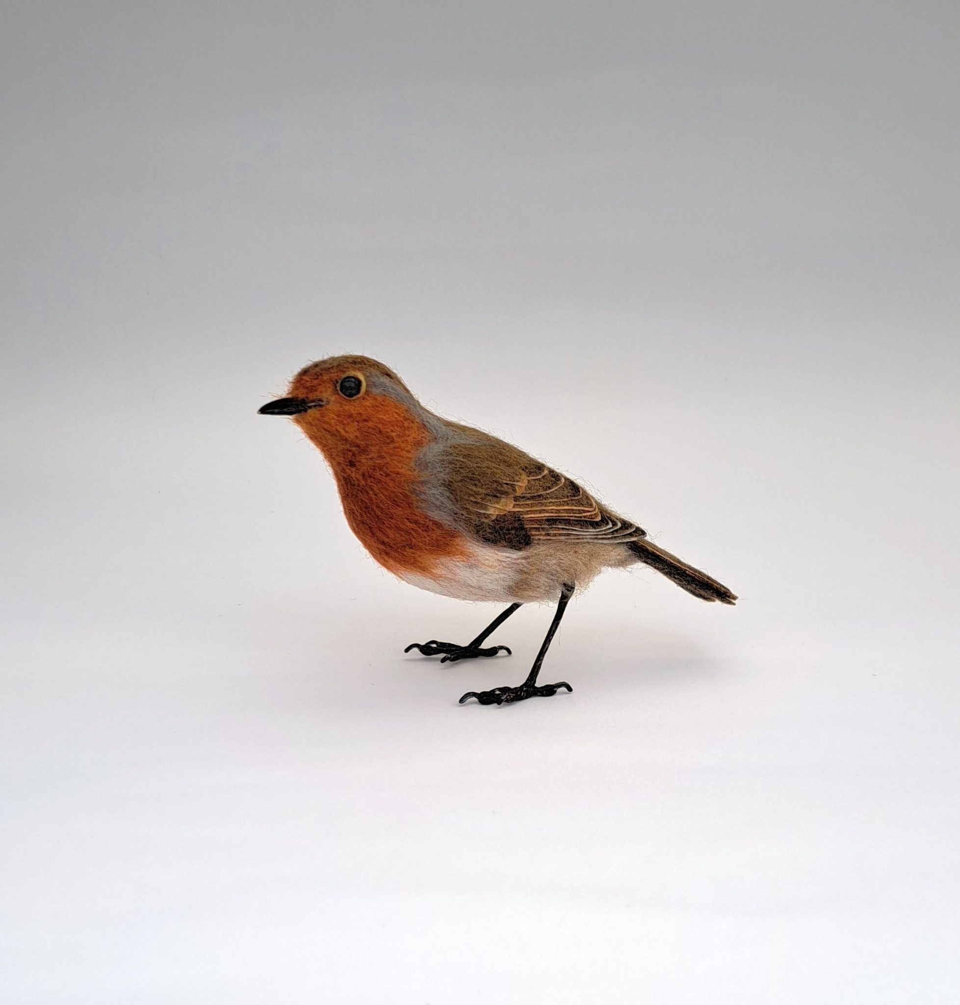 Robin :  Unique handmade needle-felted wildlife sculpture.