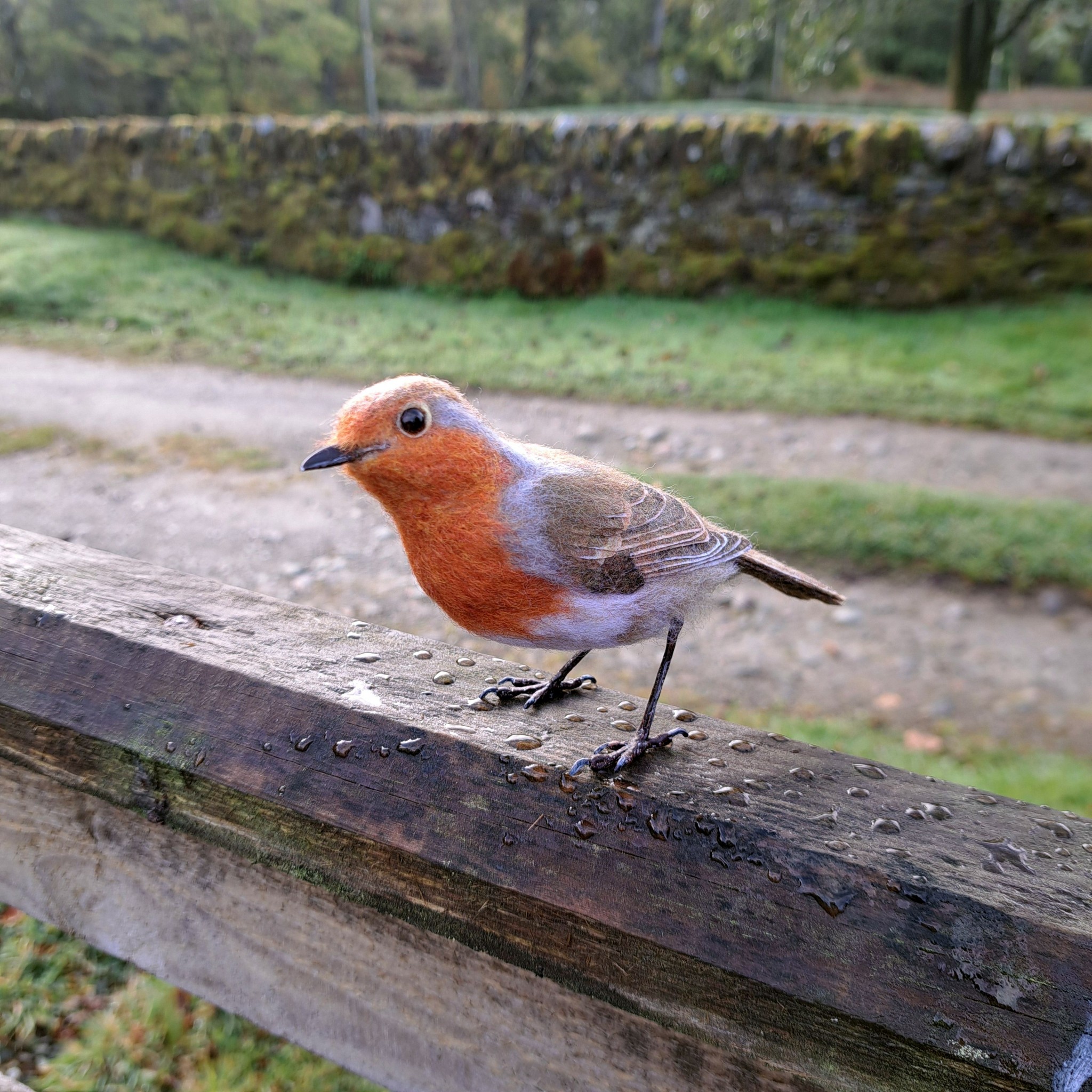 Robin :  Unique handmade needle-felted wildlife sculpture.