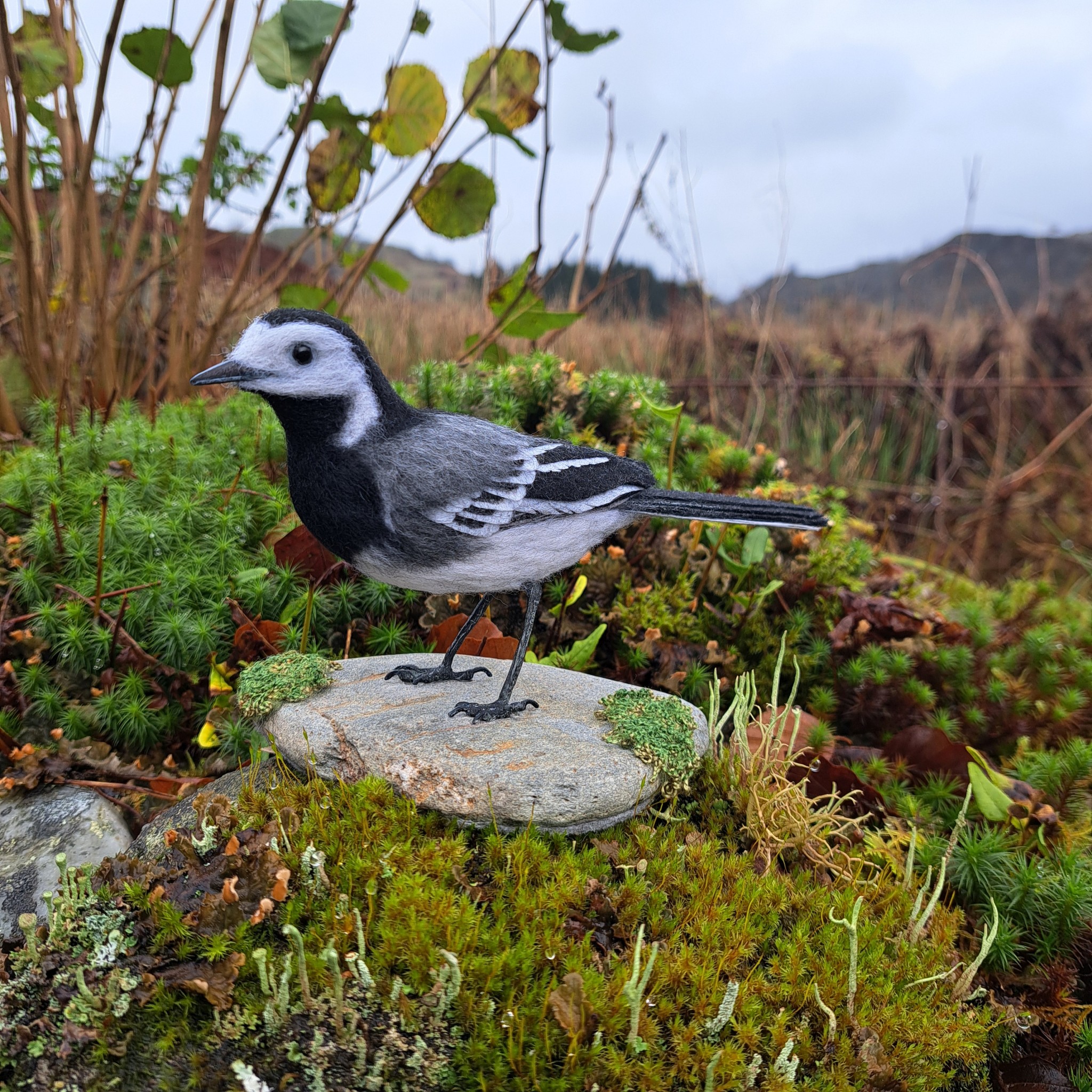 Needle felted Pied Wagtail , mounted on stone with embroidered moss