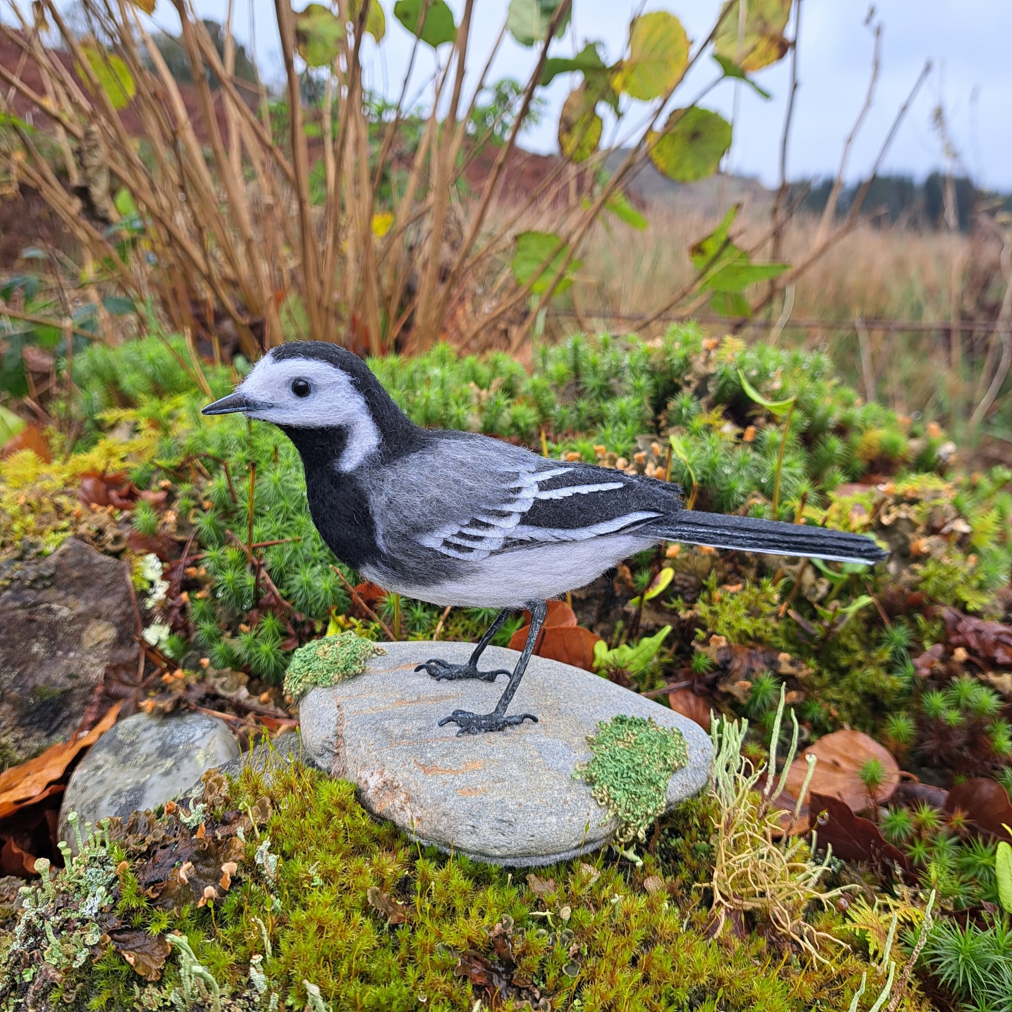 Needle felted Pied Wagtail , mounted on stone with embroidered moss