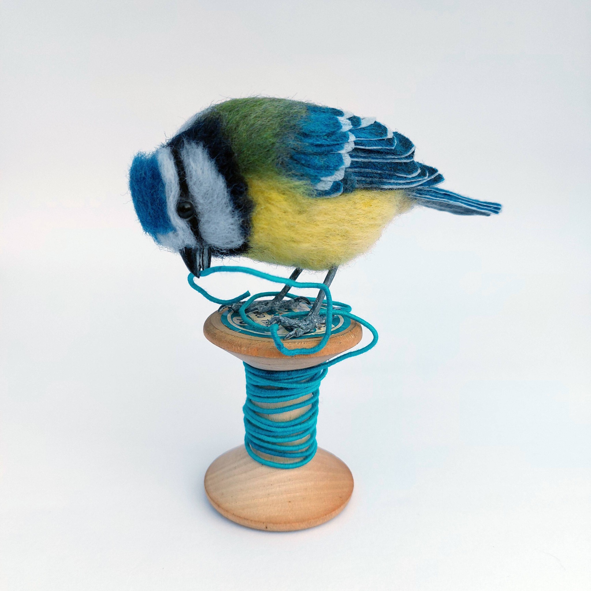Tangled up in blue : Blue Tit on vintage cotton reel. Unique handmade needle-felted wildlife sculpture. 