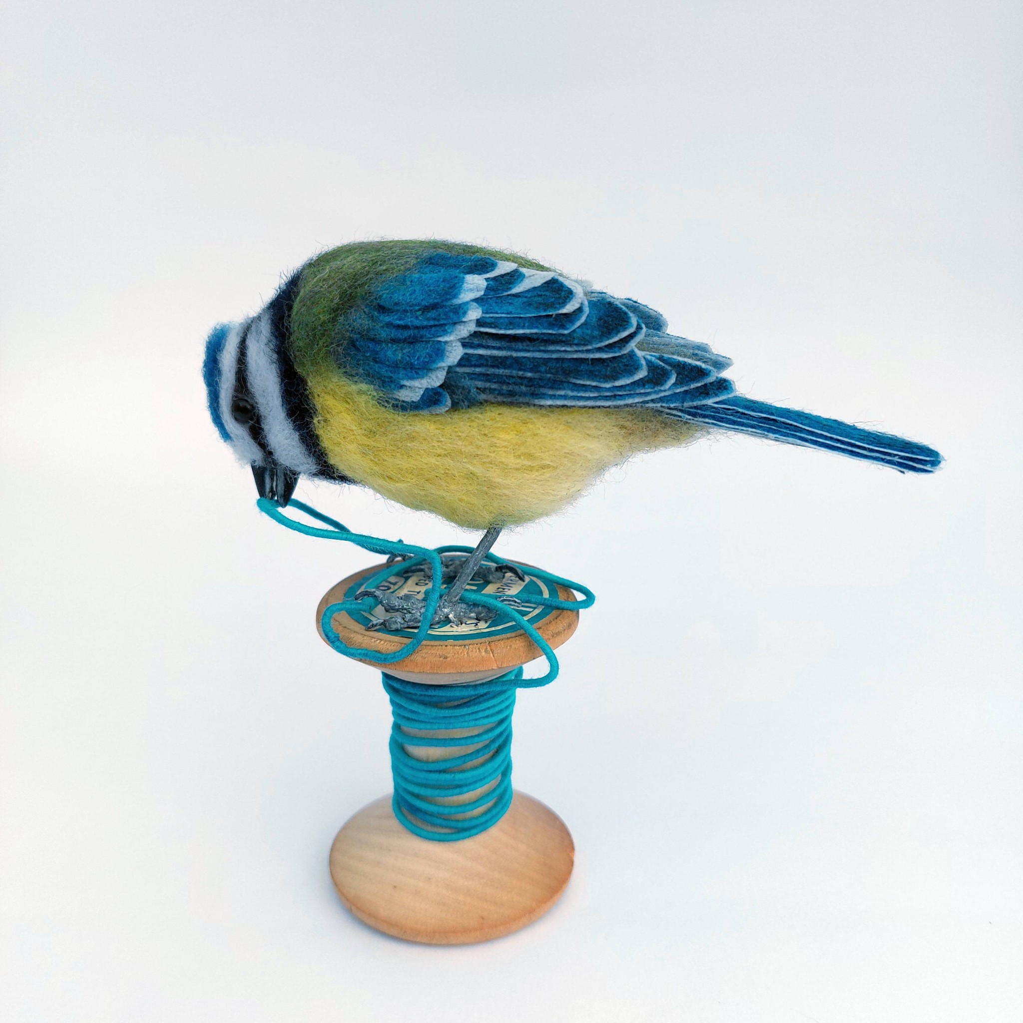 Tangled up in blue : Blue Tit on vintage cotton reel. Unique handmade needle-felted wildlife sculpture. 