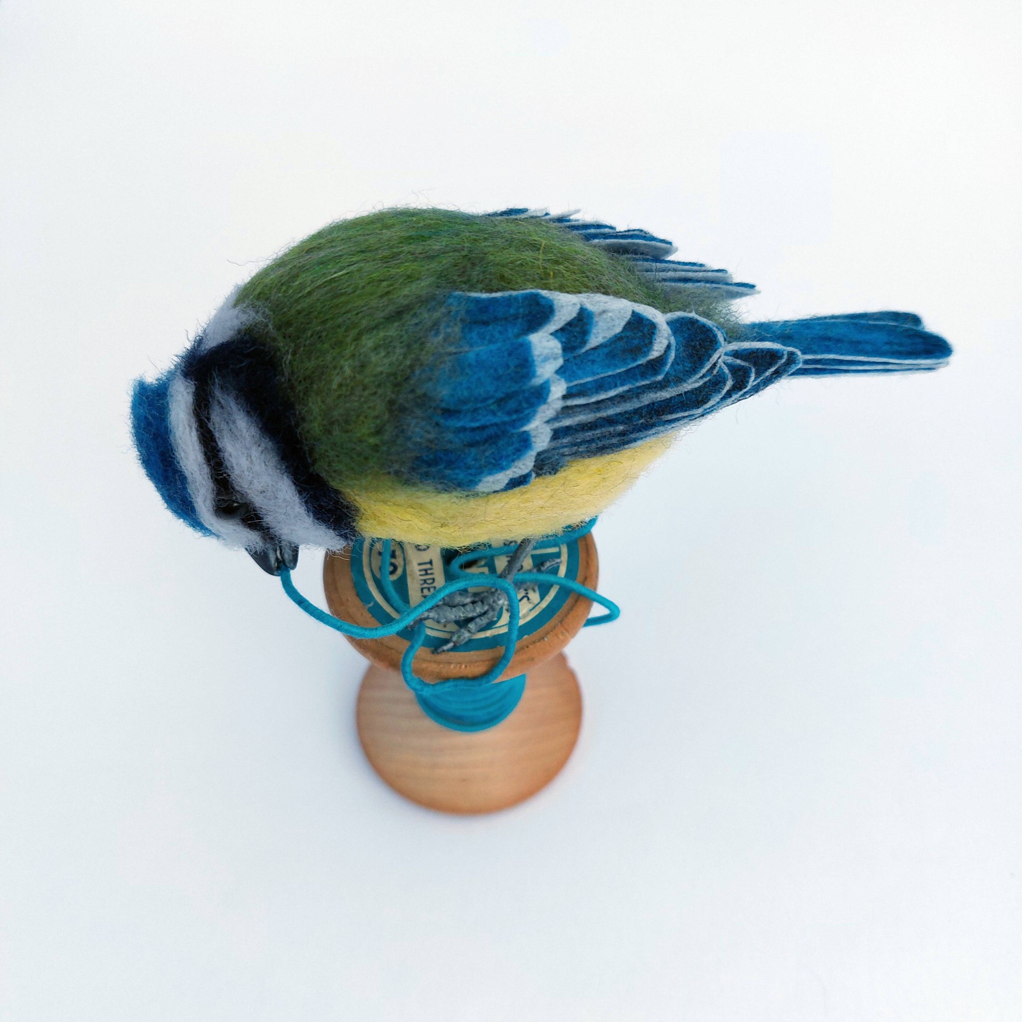 Tangled up in blue : Blue Tit on vintage cotton reel. Unique handmade needle-felted wildlife sculpture. 