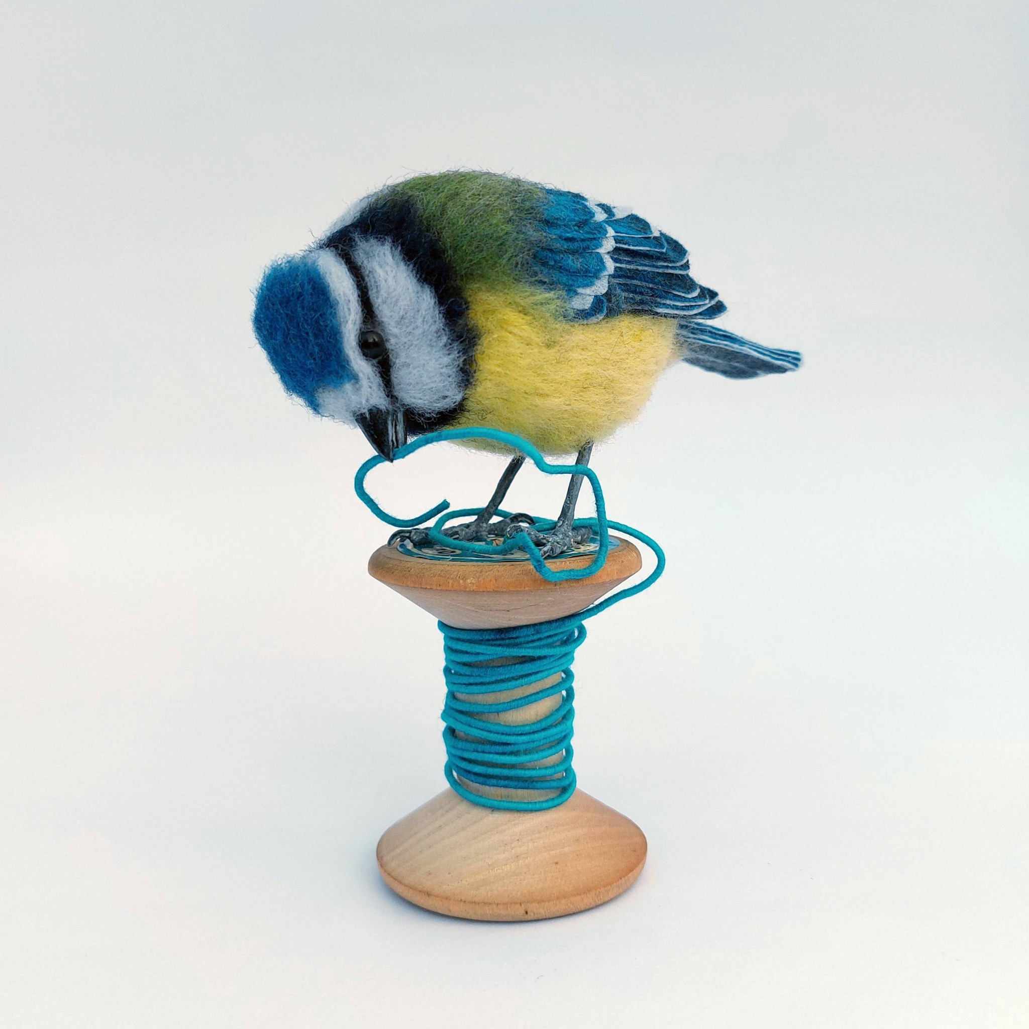 Tangled up in blue : Blue Tit on vintage cotton reel. Unique handmade needle-felted wildlife sculpture. 