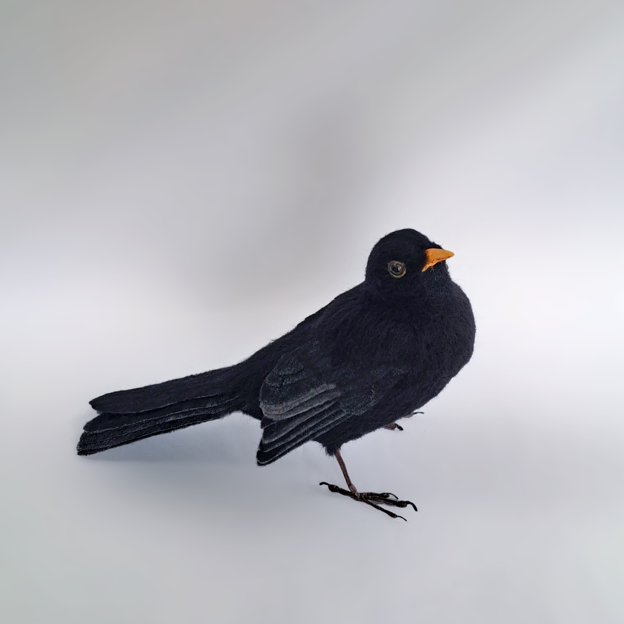 Blackbird : Unique handmade needle-felted wildlife sculpture.  