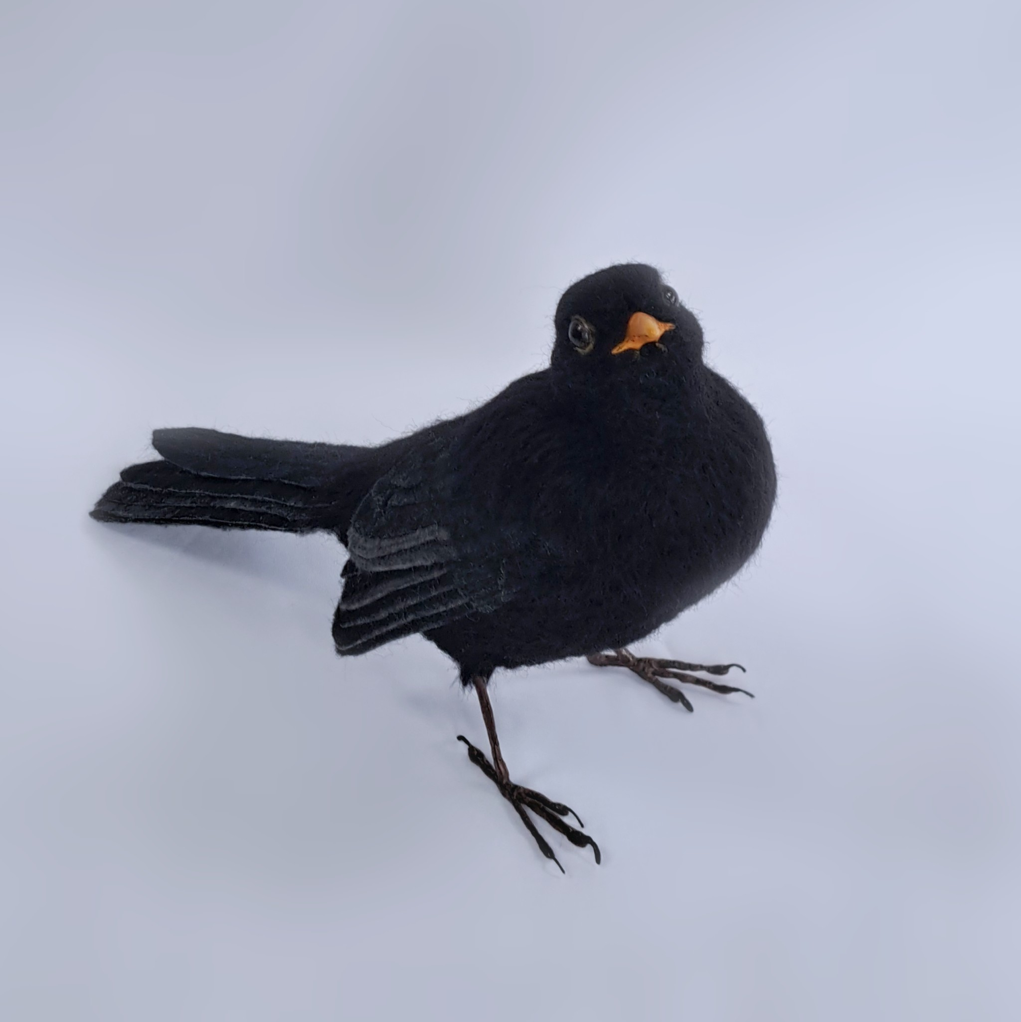 Blackbird : Unique handmade needle-felted wildlife sculpture.  