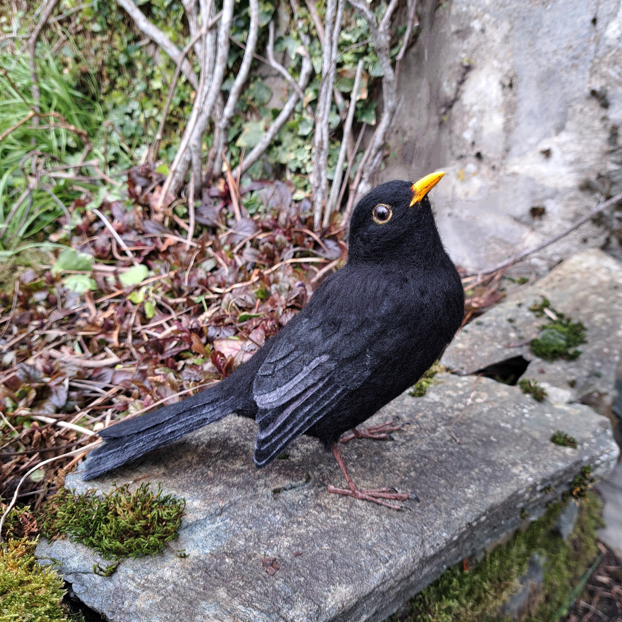 Blackbird : Unique handmade needle-felted wildlife sculpture.  