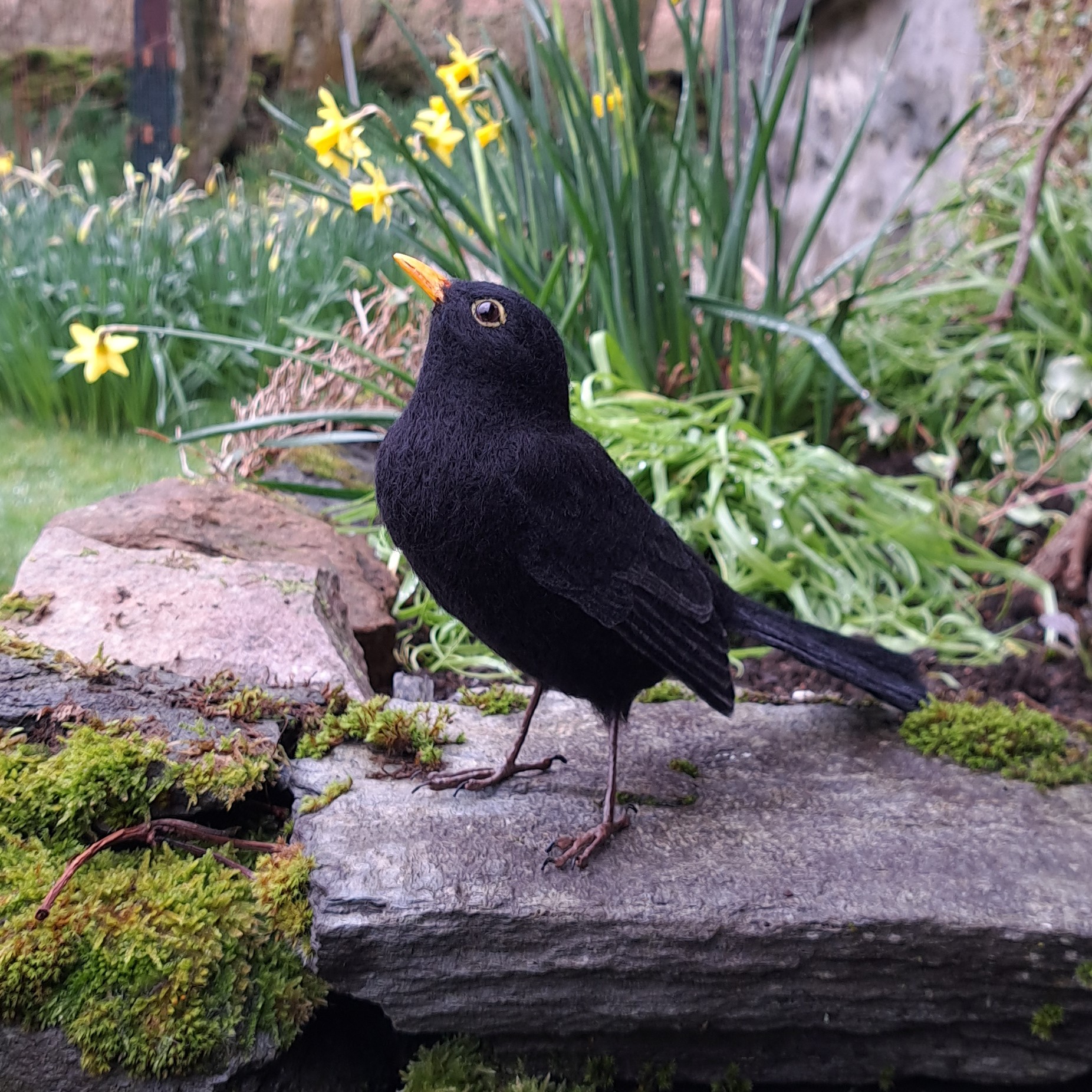 Blackbird : Unique handmade needle-felted wildlife sculpture.  