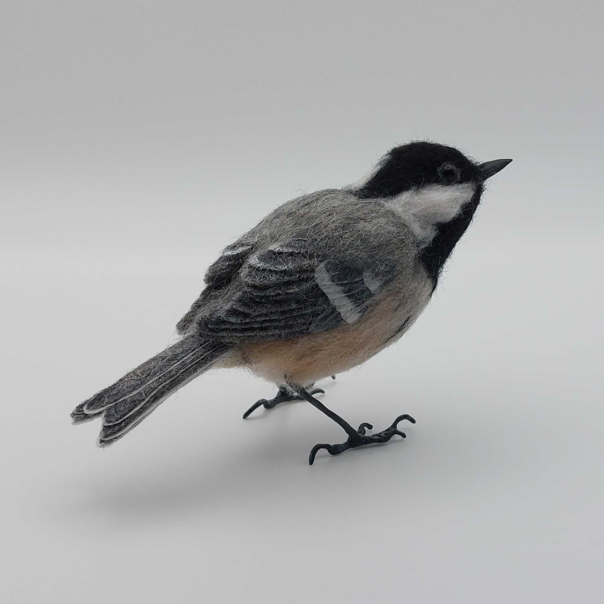 Coal Tit : Unique handmade needle-felted wildlife sculpture.