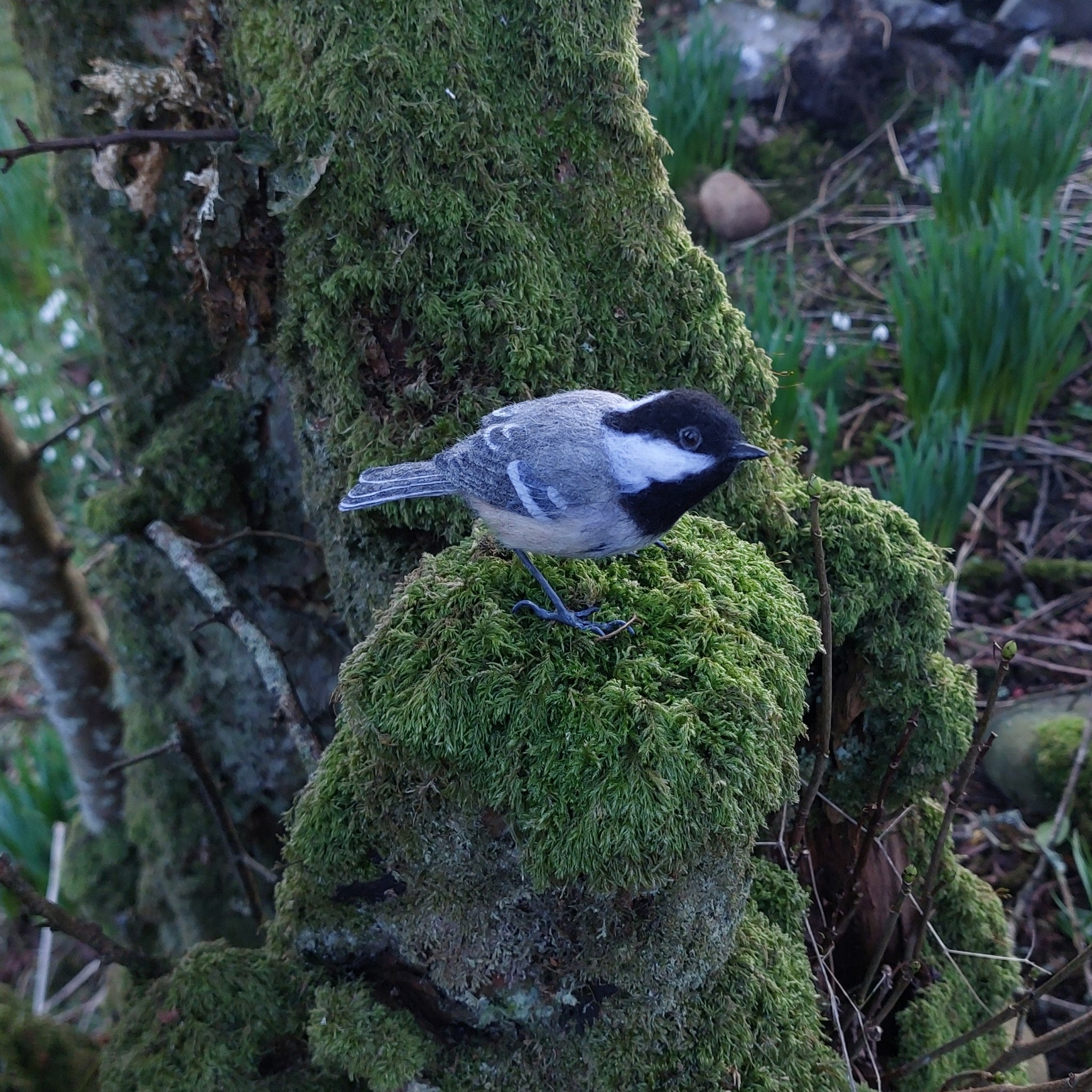 Coal Tit : Unique handmade needle-felted wildlife sculpture.