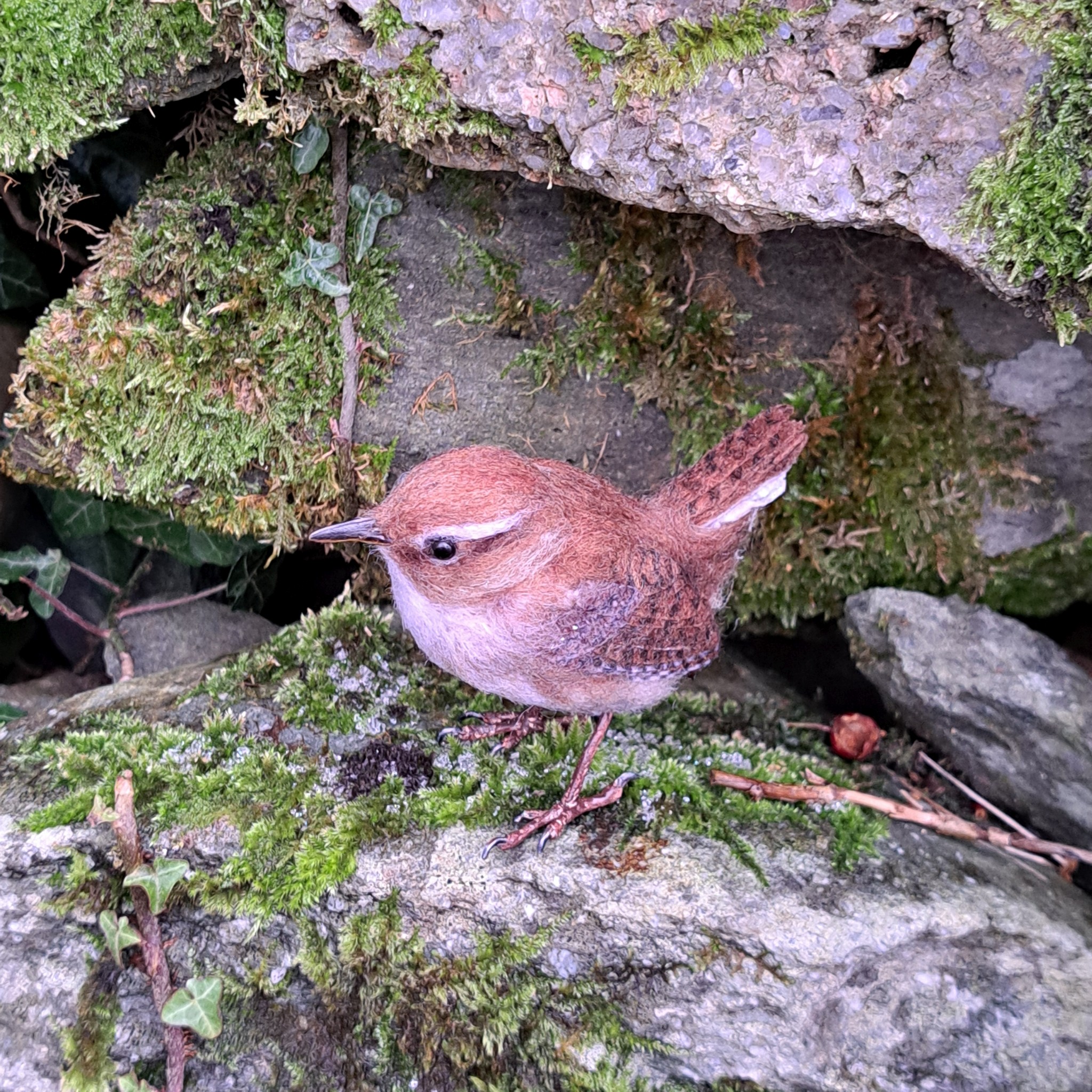 Wren  : Unique handmade needle-felted wildlife sculpture.
