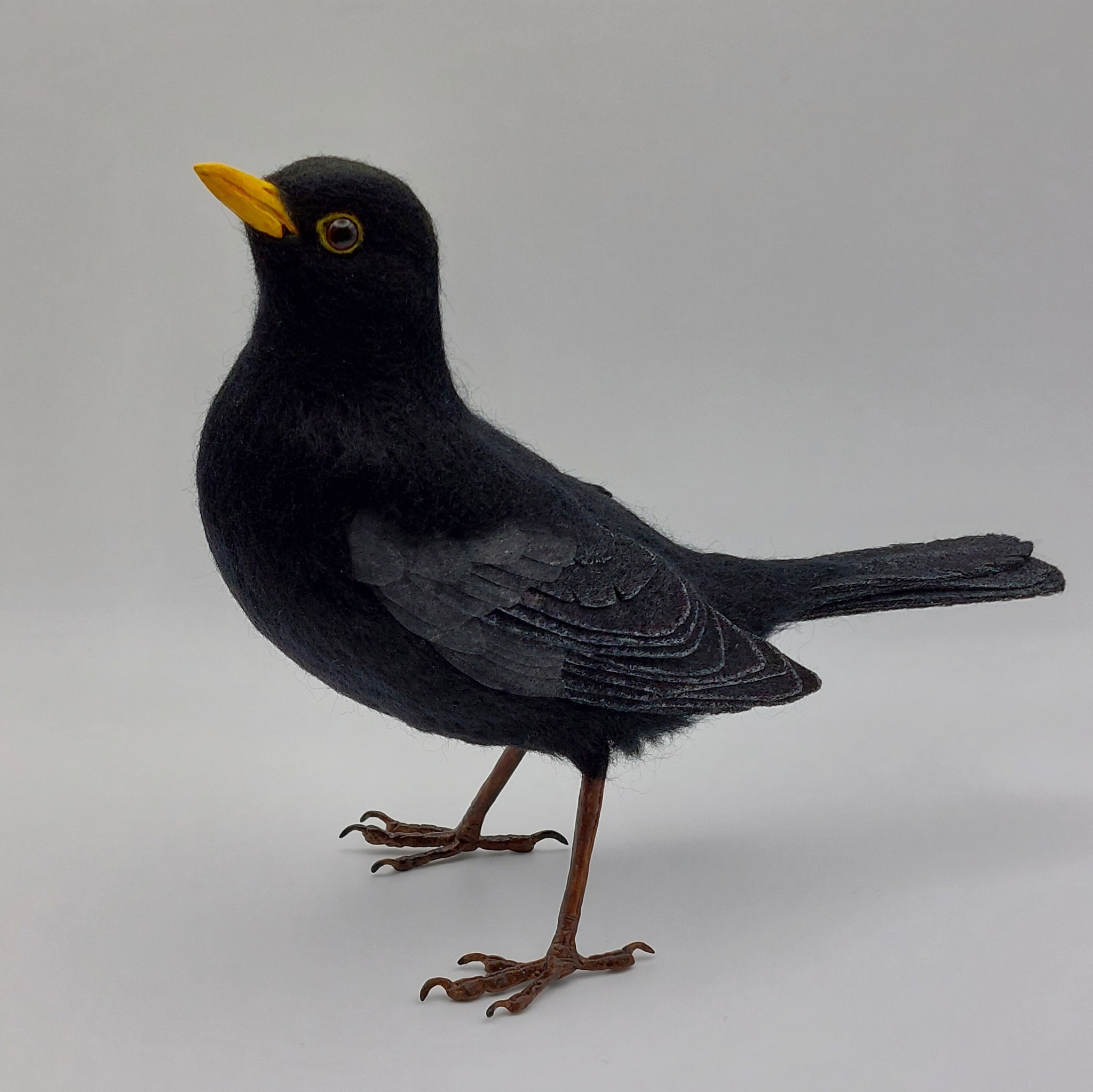 Blackbird: Unique handmade needle-felted wildlife sculpture. 