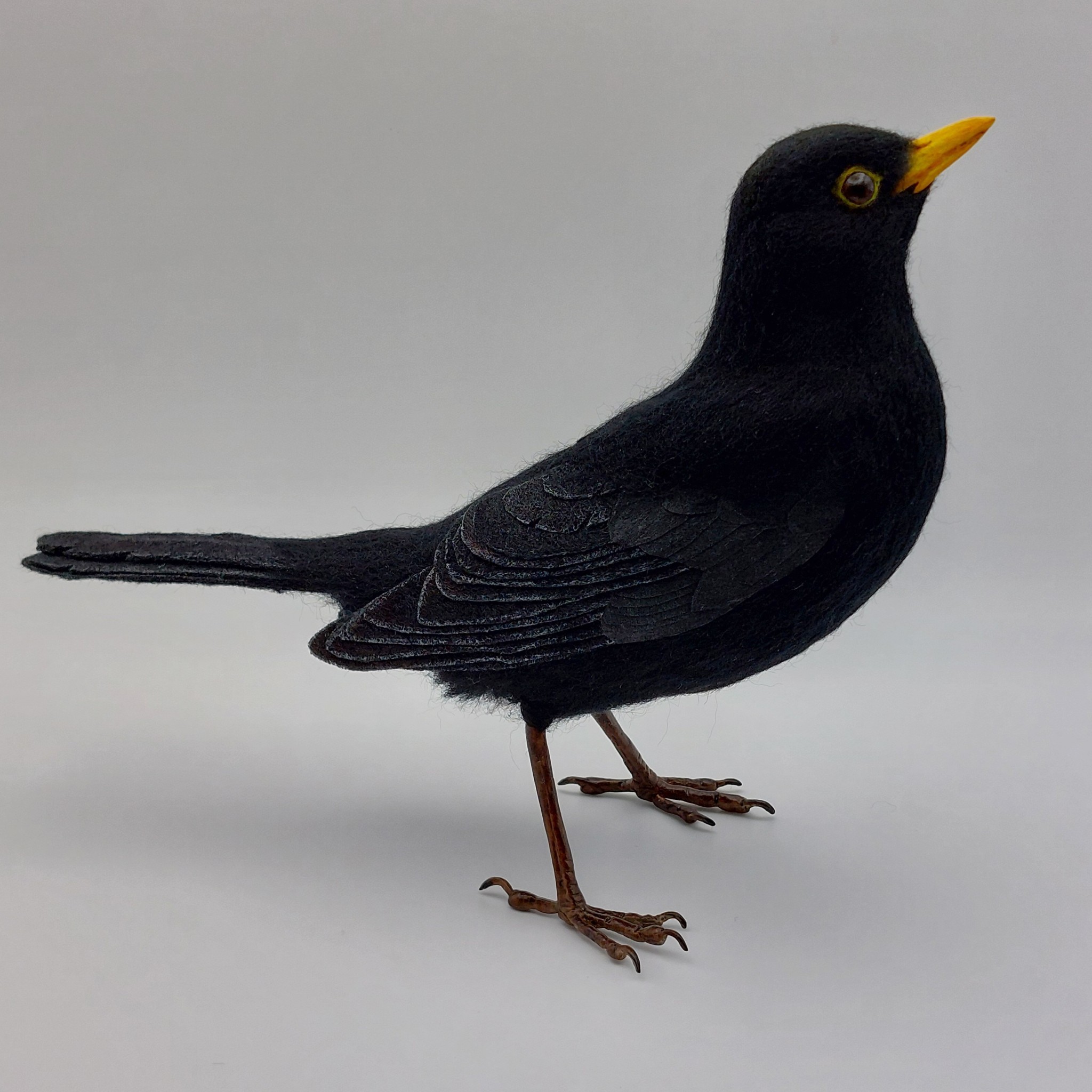Blackbird: Unique handmade needle-felted wildlife sculpture. 