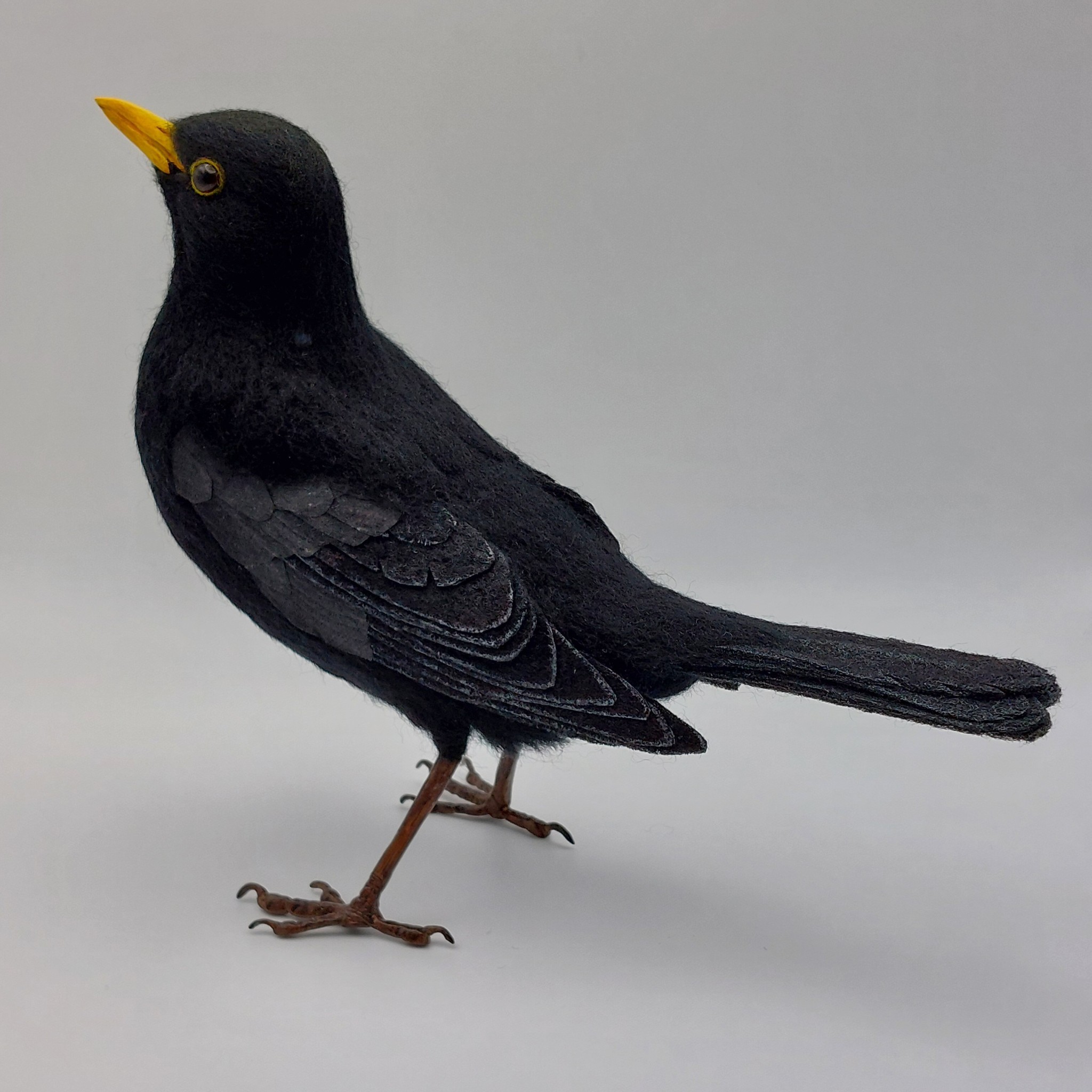 Blackbird: Unique handmade needle-felted wildlife sculpture. 