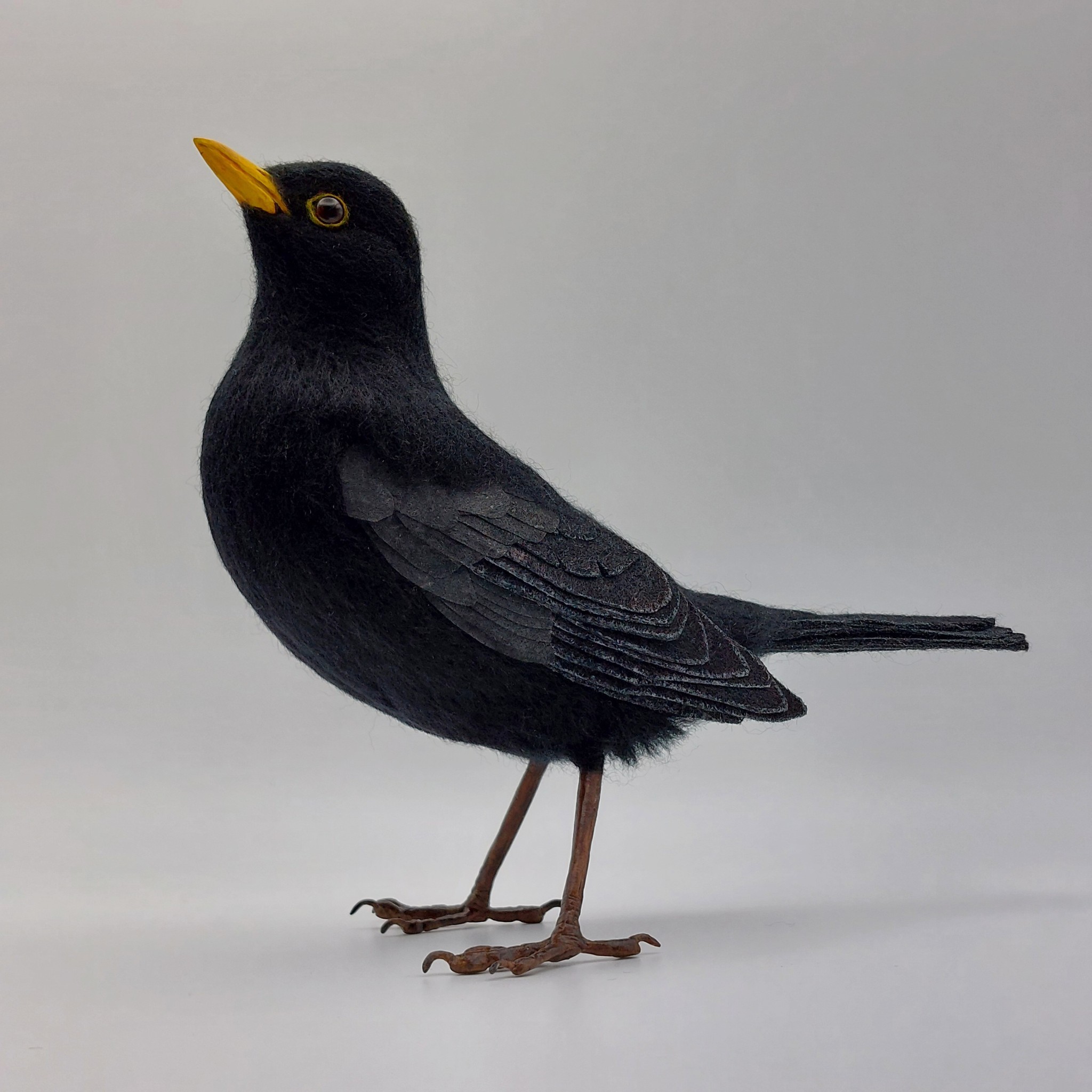 Blackbird: Unique handmade needle-felted wildlife sculpture. 