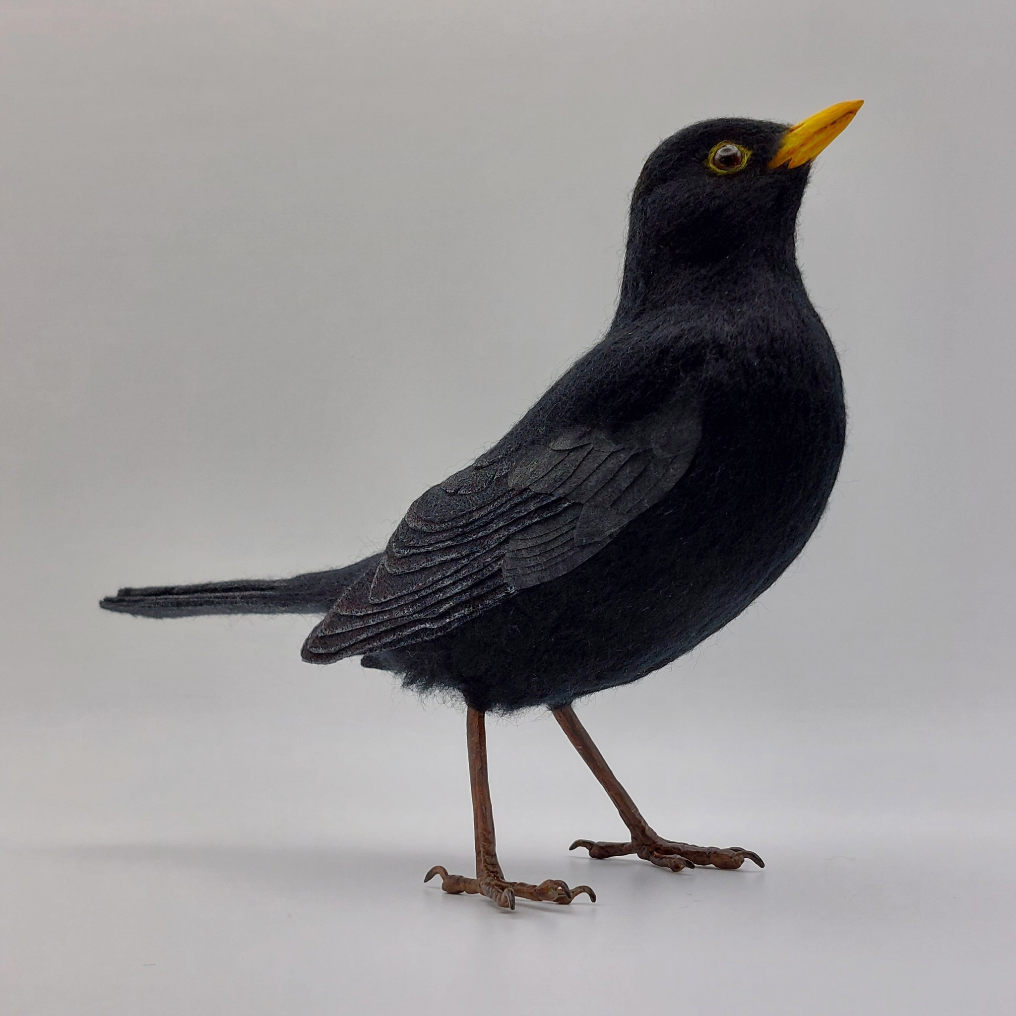 Blackbird: Unique handmade needle-felted wildlife sculpture. 