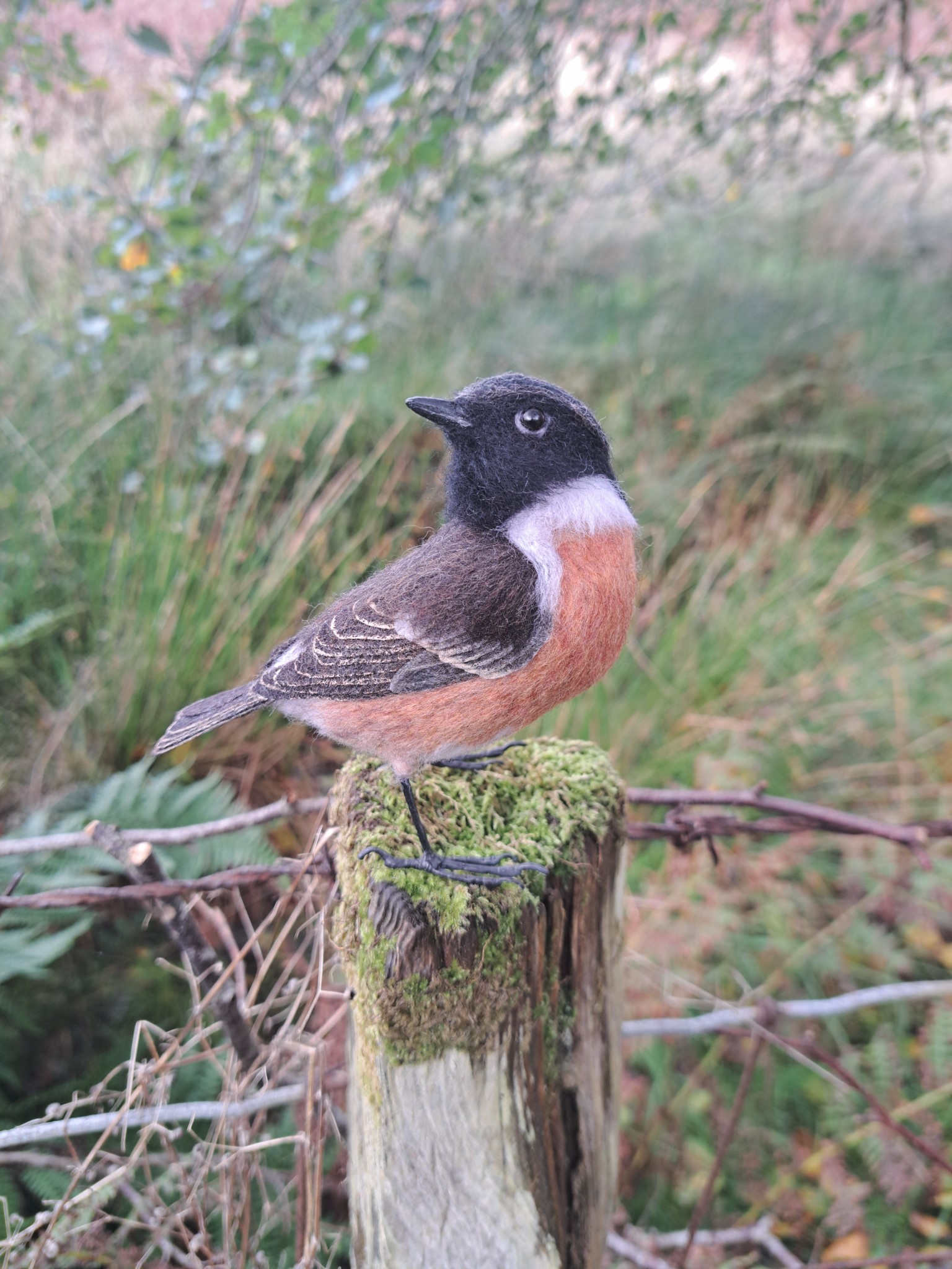 Stonechat : Unique handmade needle-felted wildlife sculpture. 8