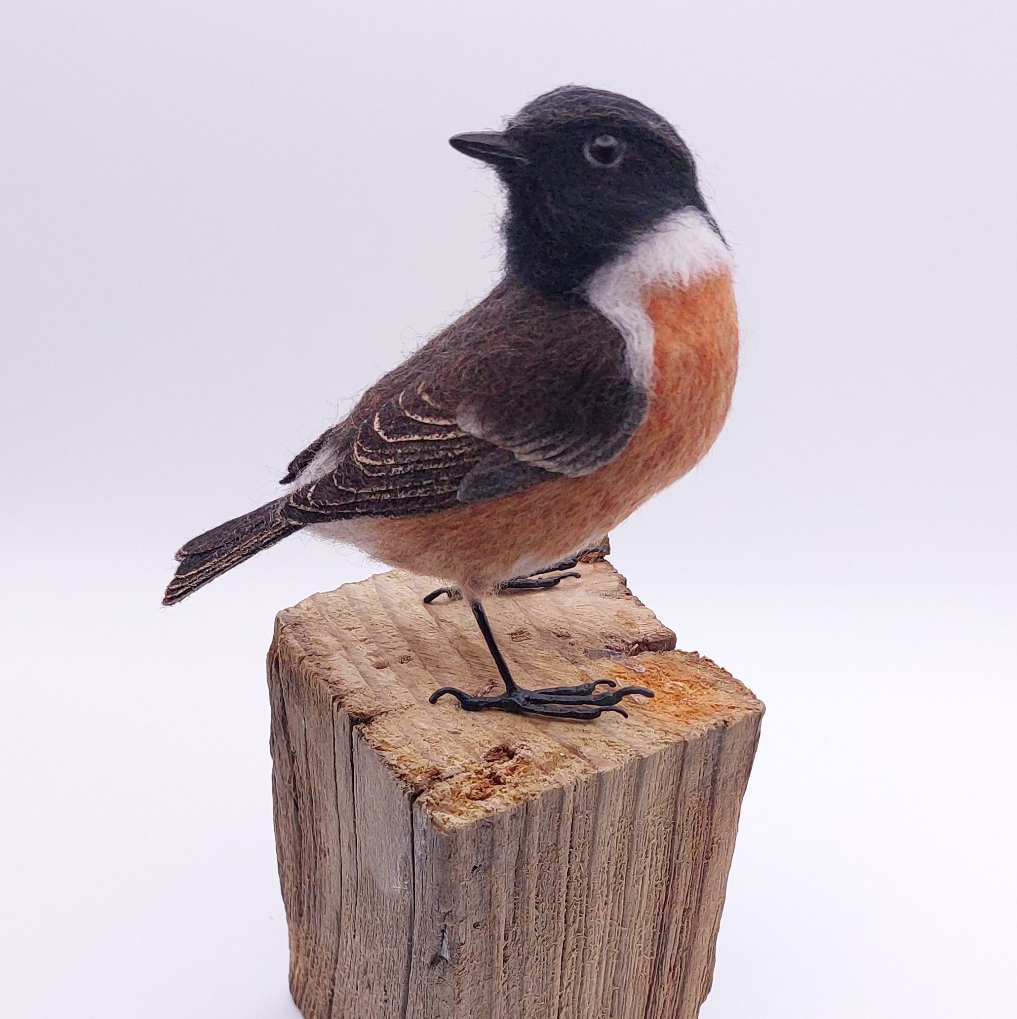 Stonechat