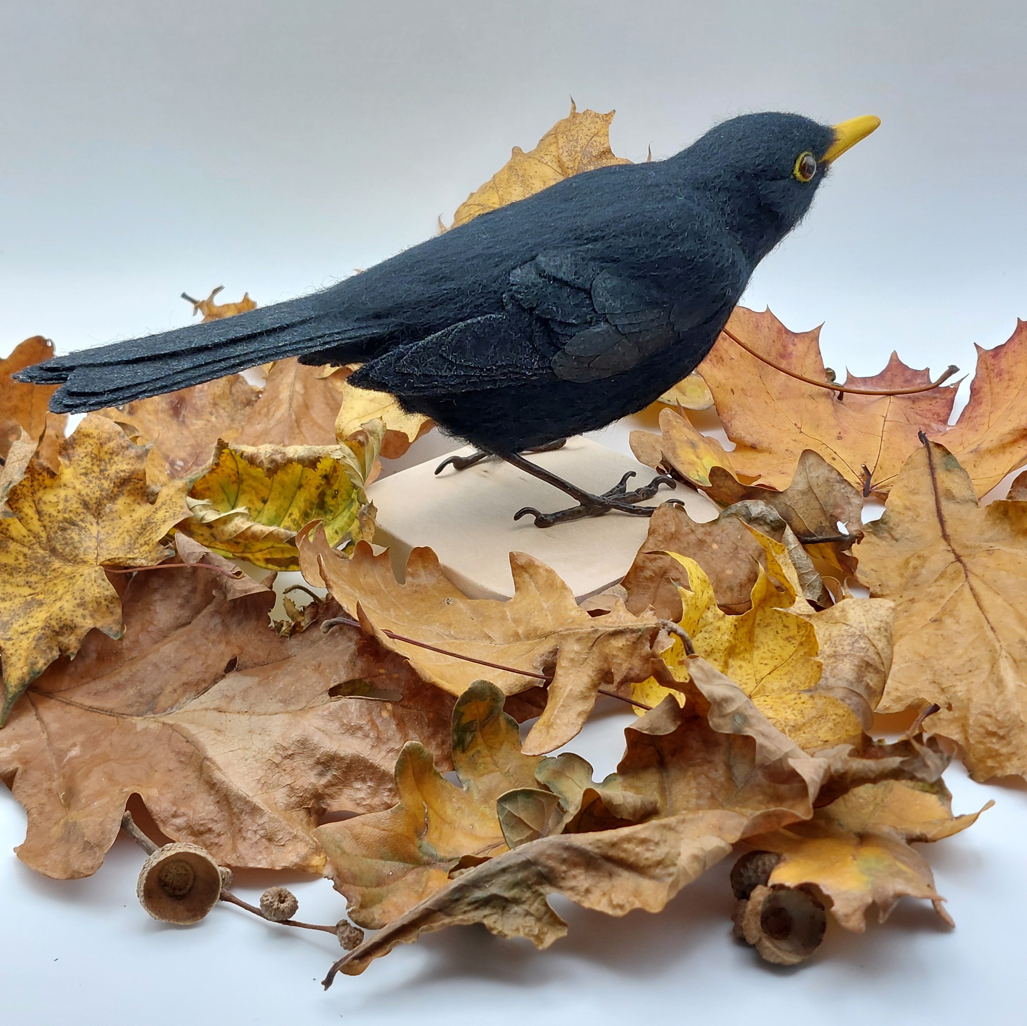 Blackbird : Unique handmade needle-felted wildlife sculpture. 
