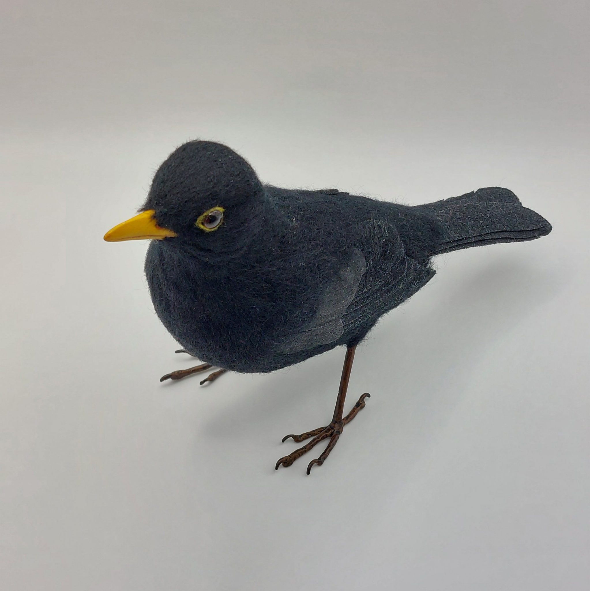 Blackbird : Unique handmade needle-felted wildlife sculpture. 