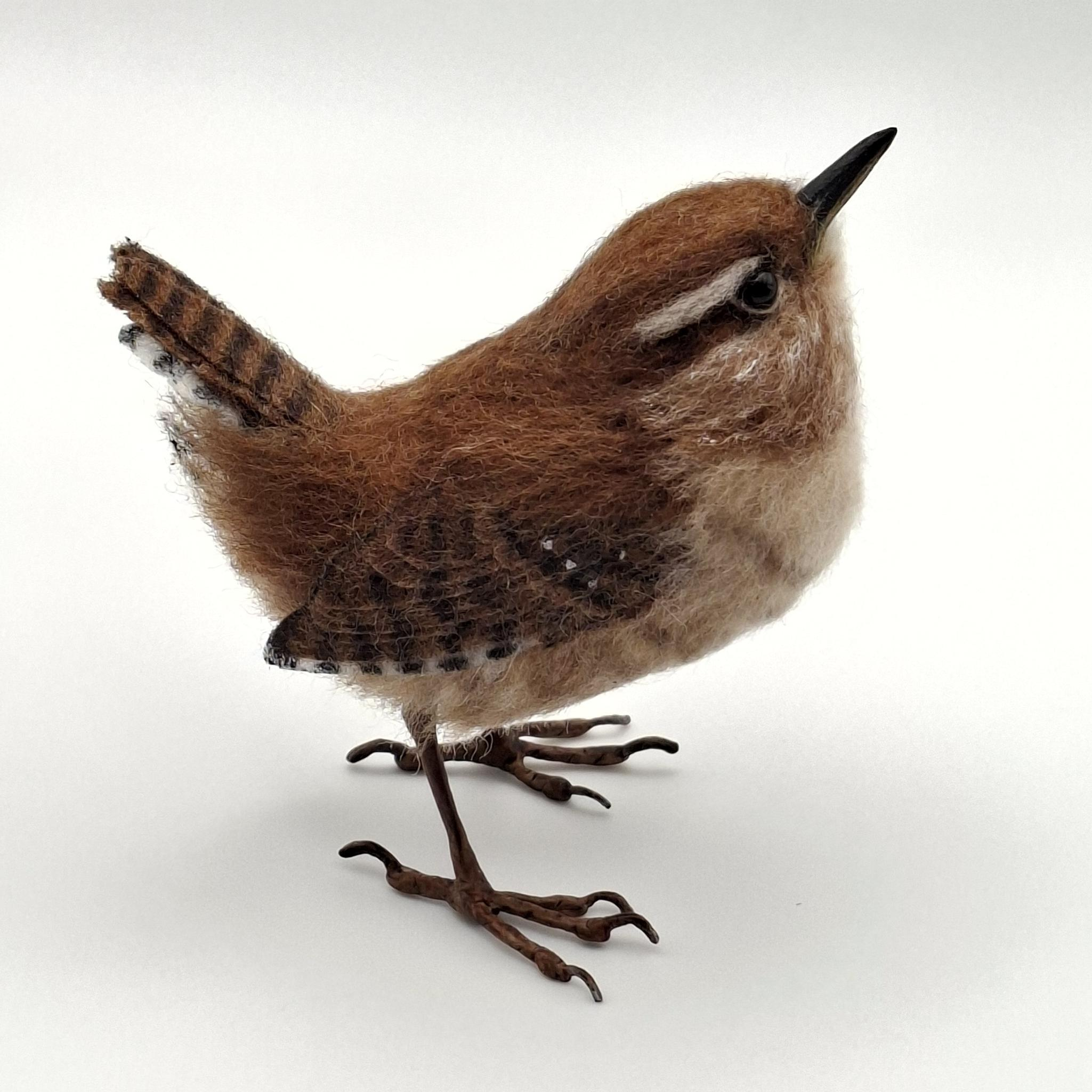 Wee-wren-01