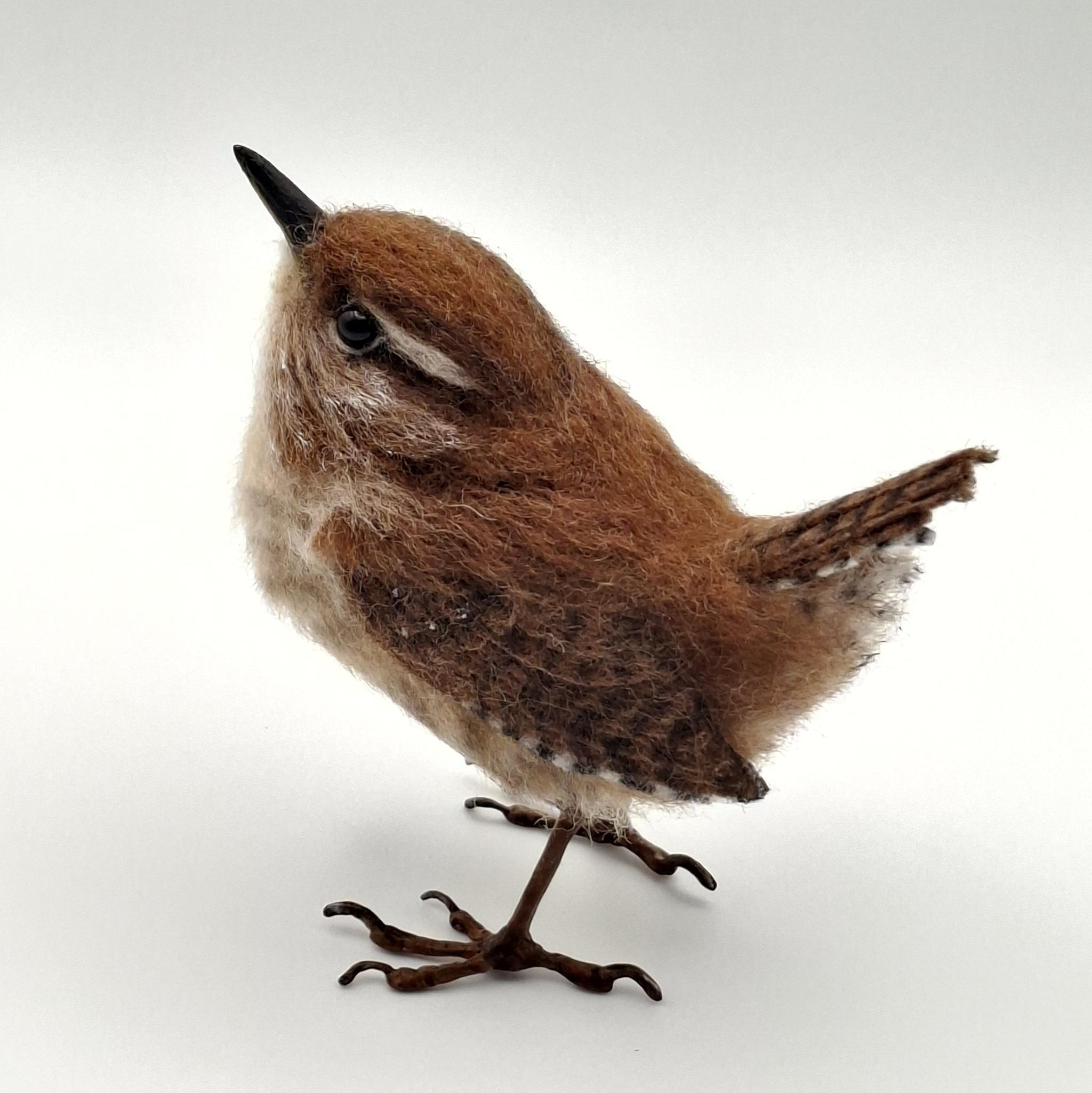 Wee-wren-02