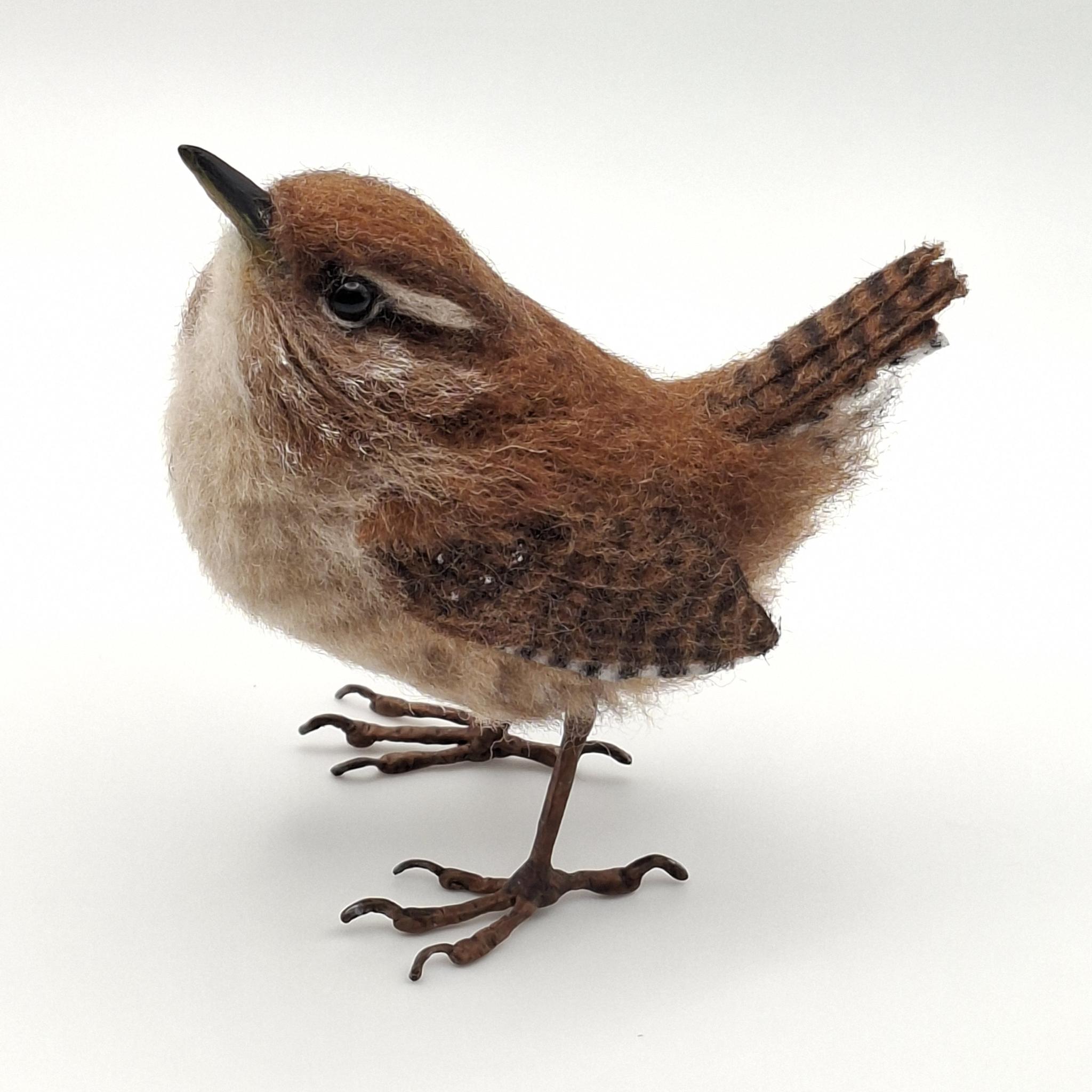 Wee-wren-03