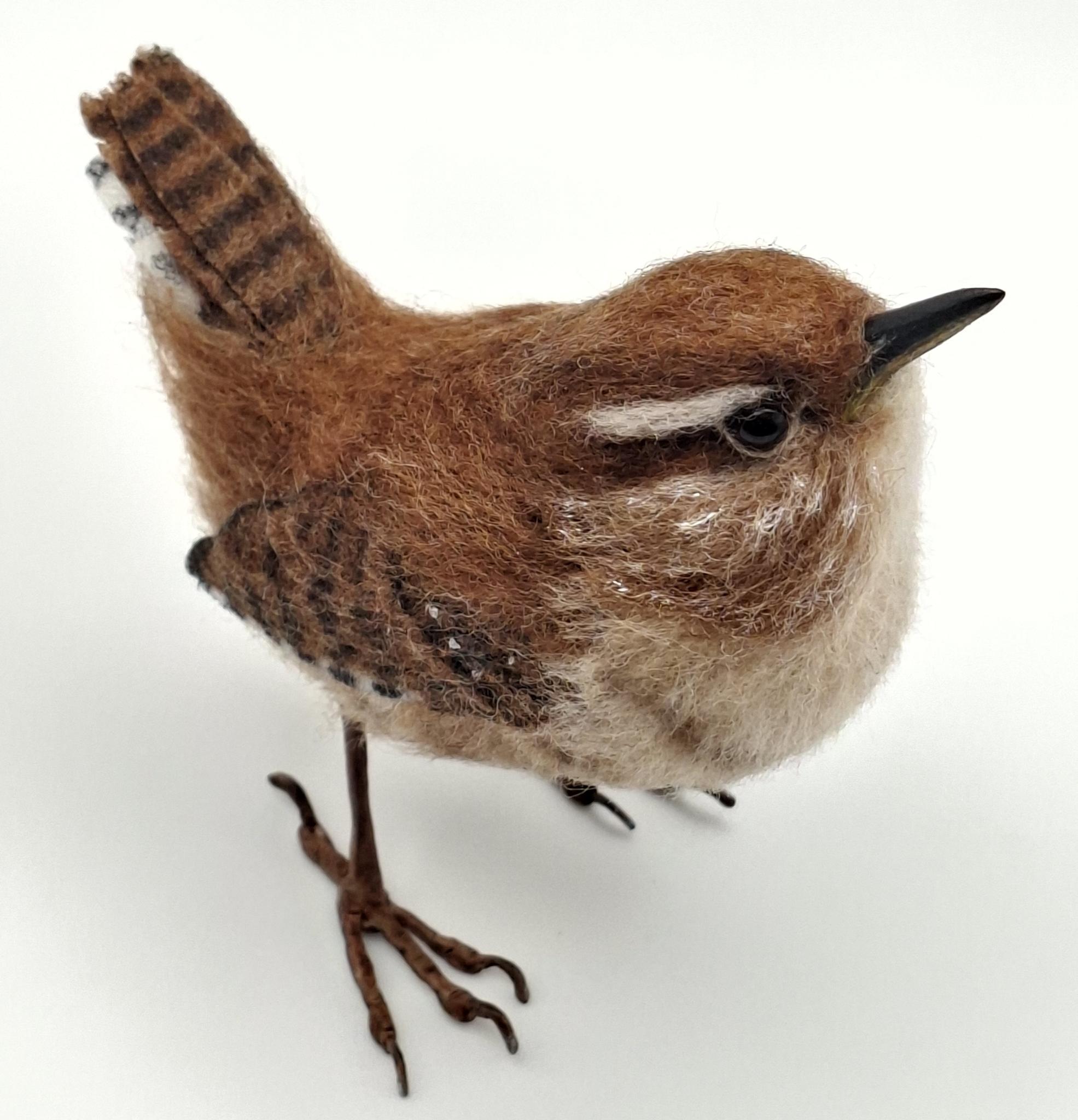 Wee-wren-05