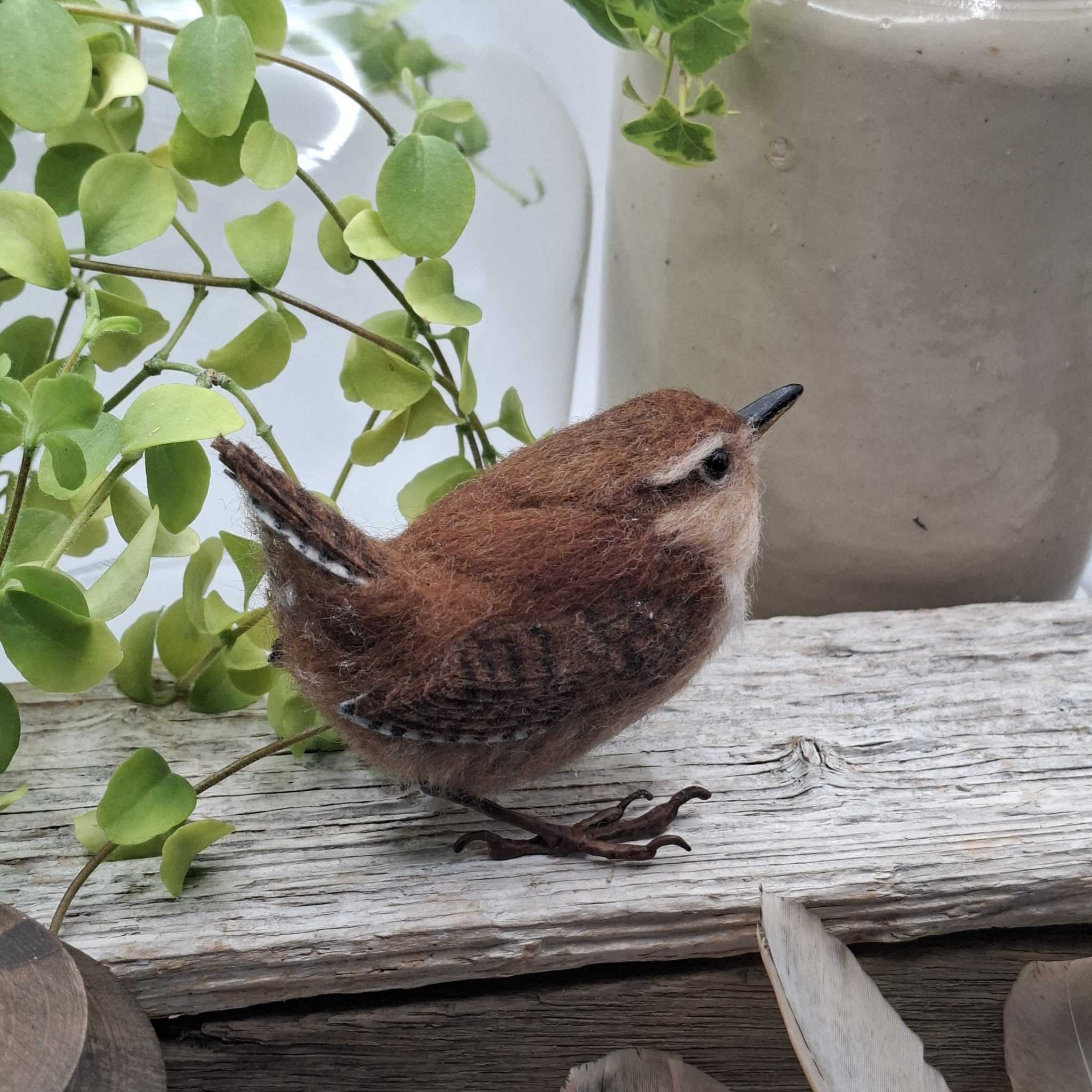Wren:  Unique handmade needle-felted wildlife sculpture.  