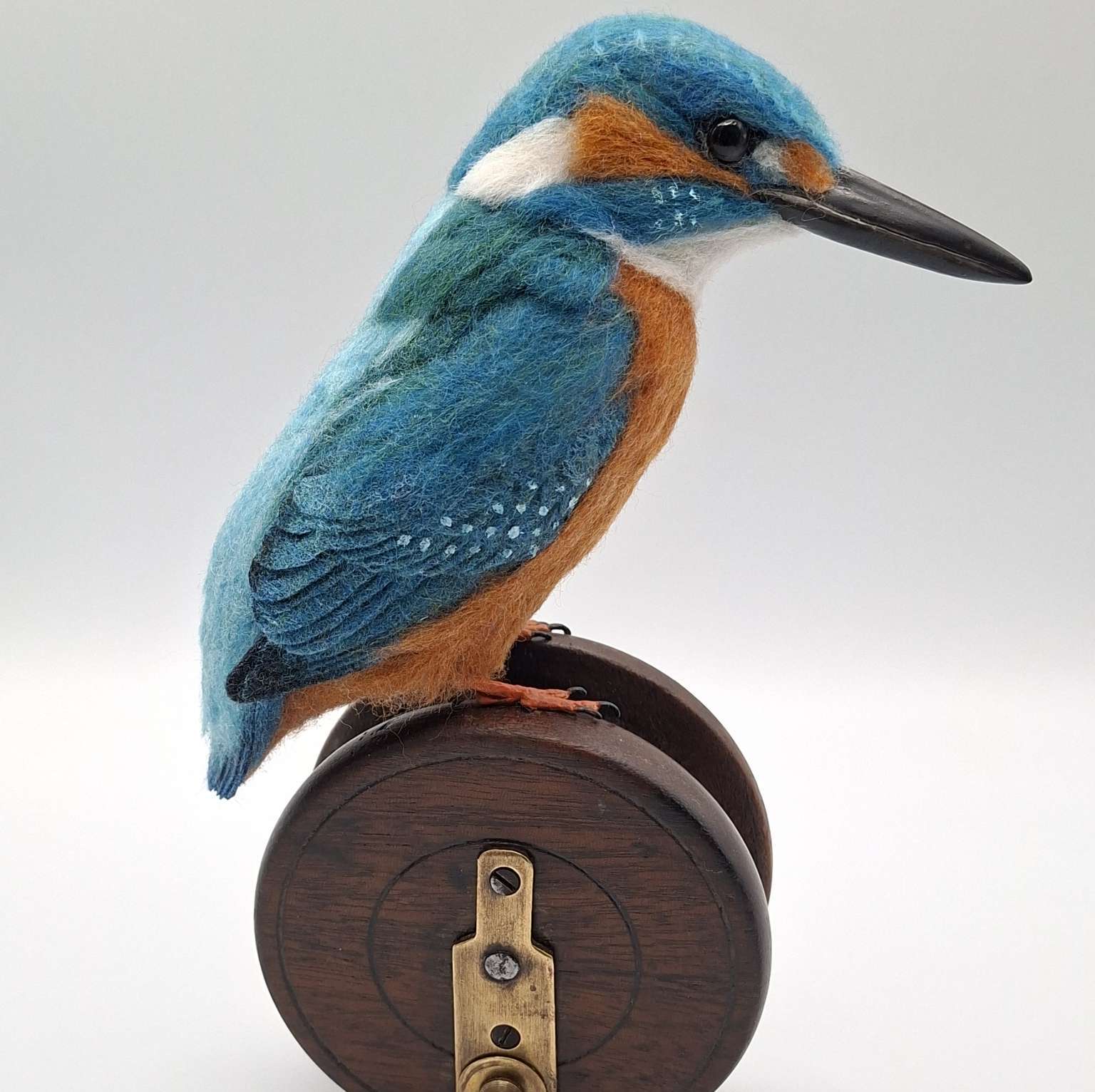 "Of Feather and Line"