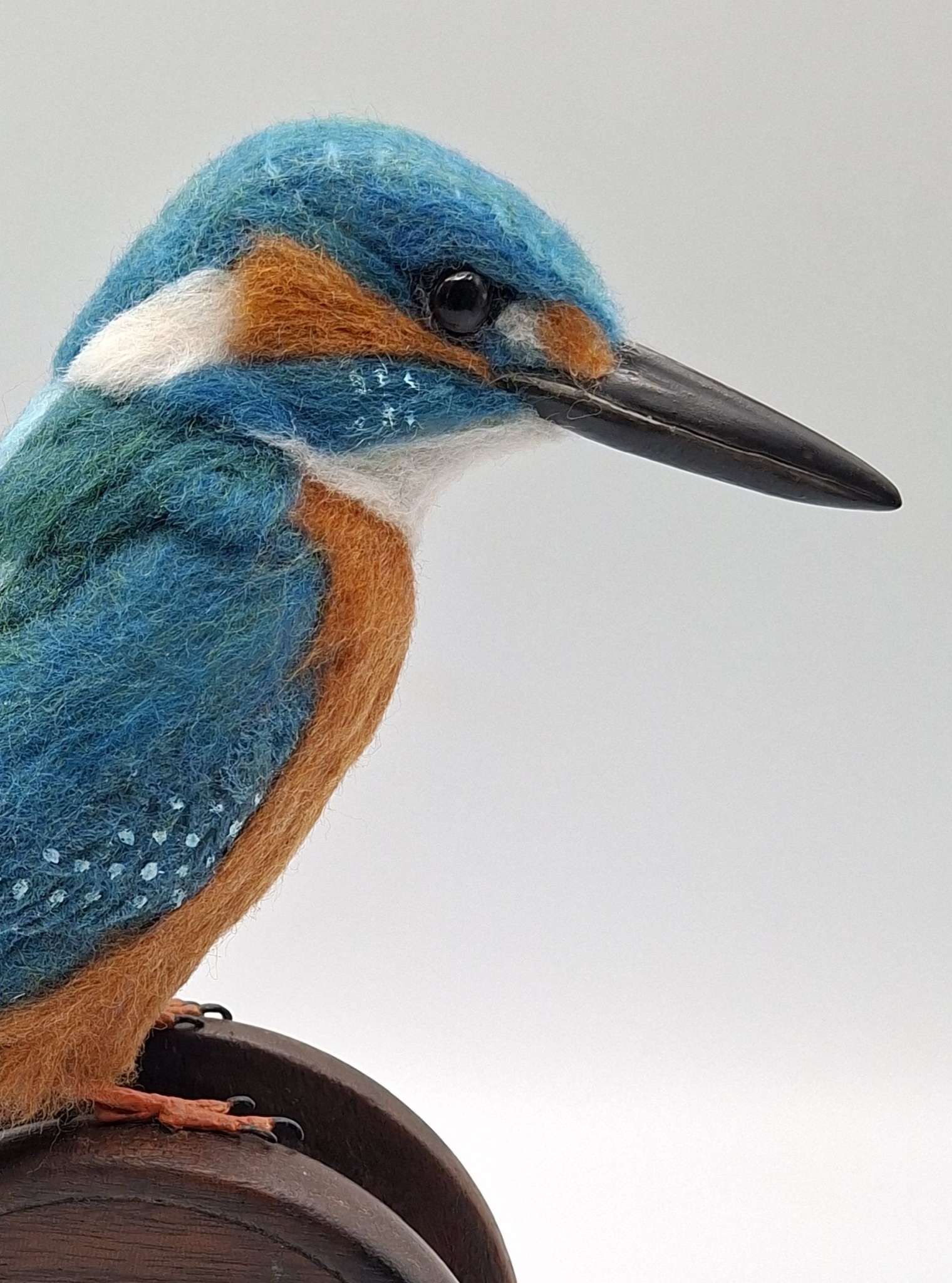 Kingfisher : Unique handmade needle-felted wildlife sculpture.  
